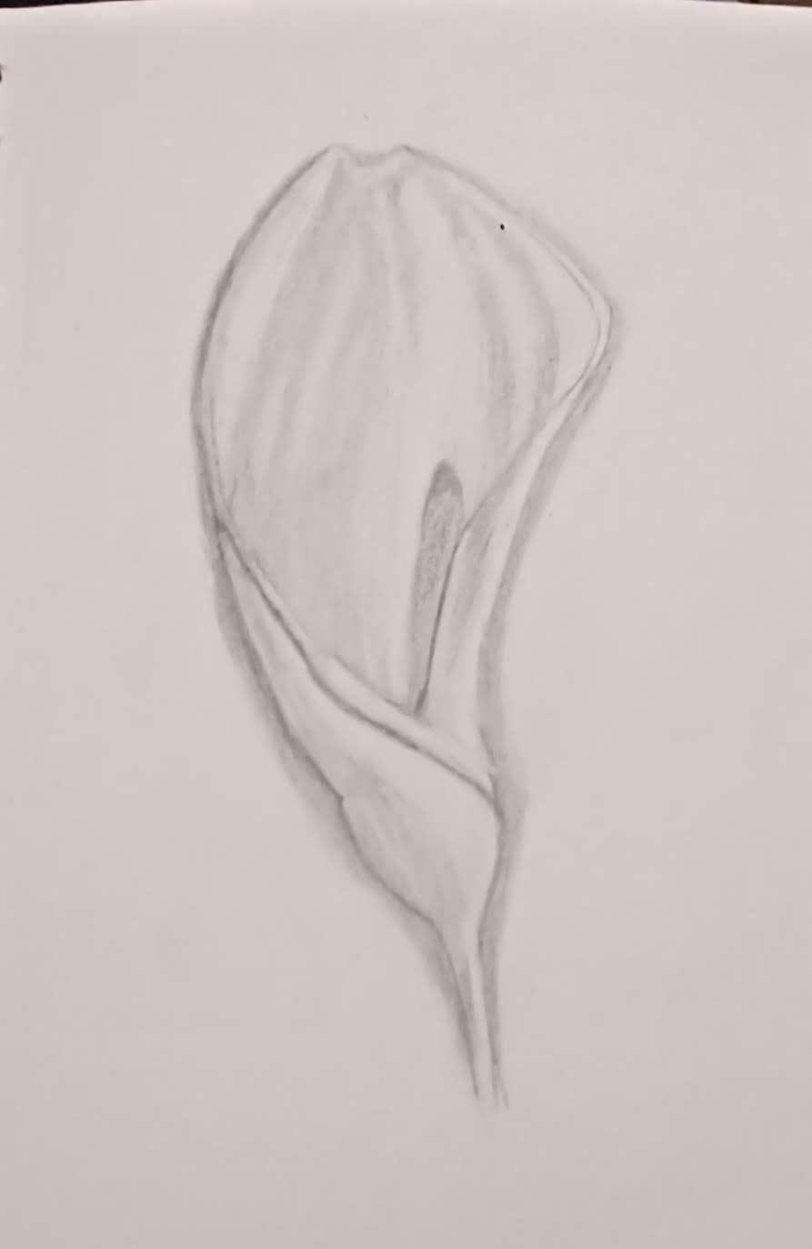 Back to basics Drawings 101 - image 2 - student project