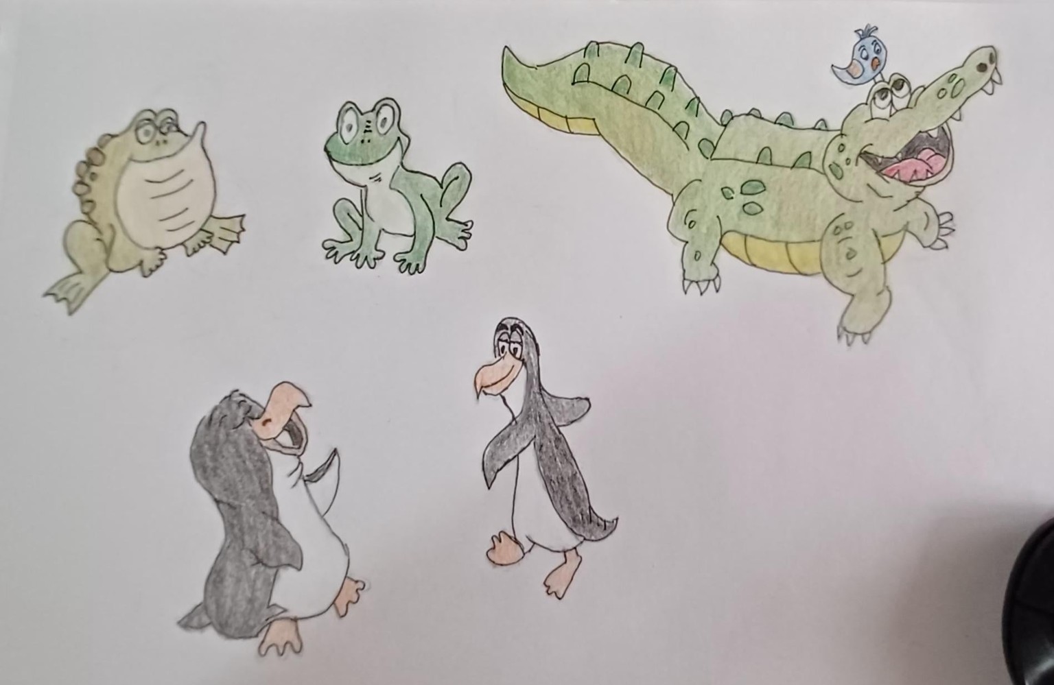 Drawing of marine animals - image 3 - student project