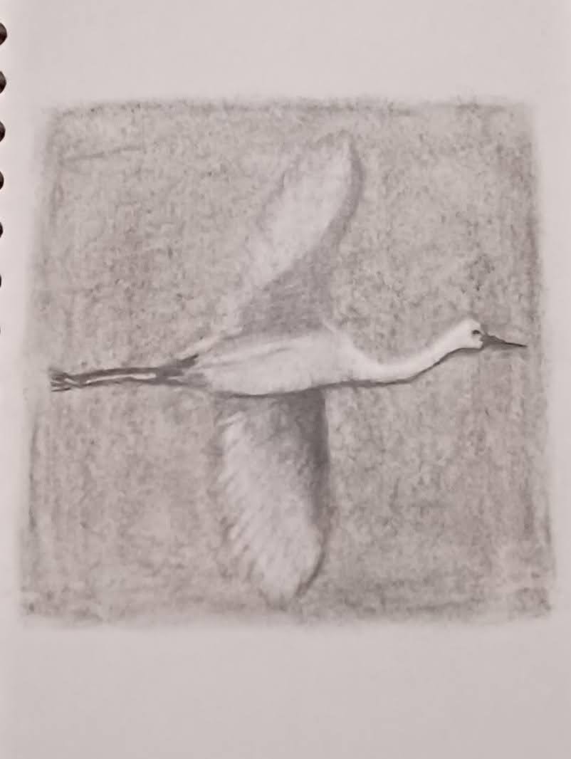 Back to basics Drawings 101 - image 3 - student project