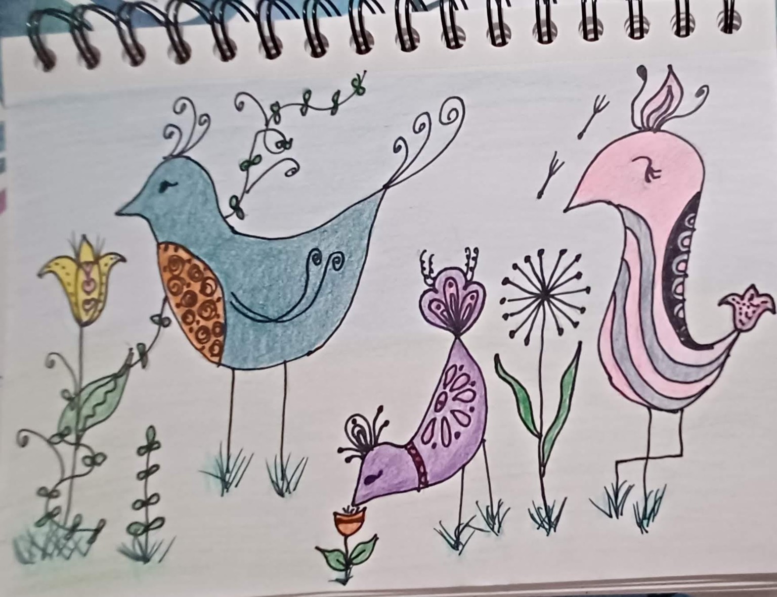 Bird - image 1 - student project