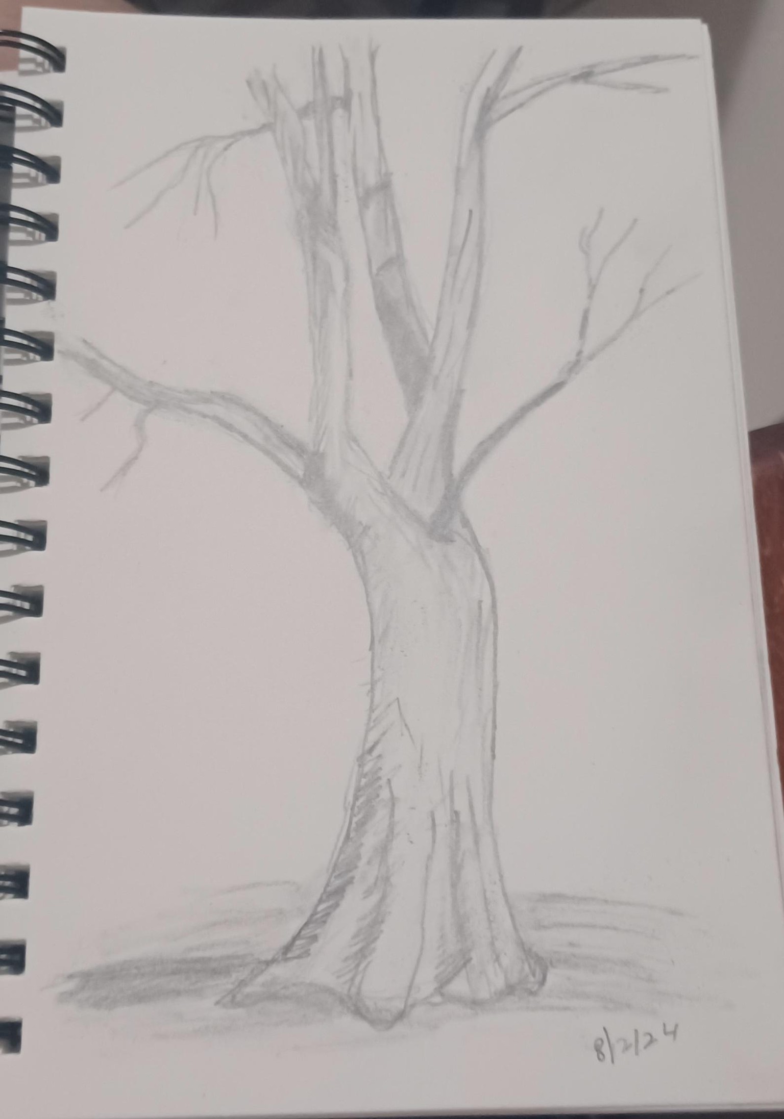 Learn the fundamentals of Drawing - image 1 - student project