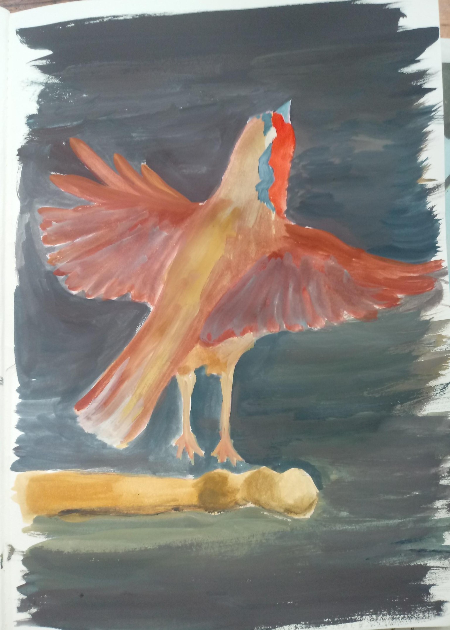 European Robin - image 3 - student project