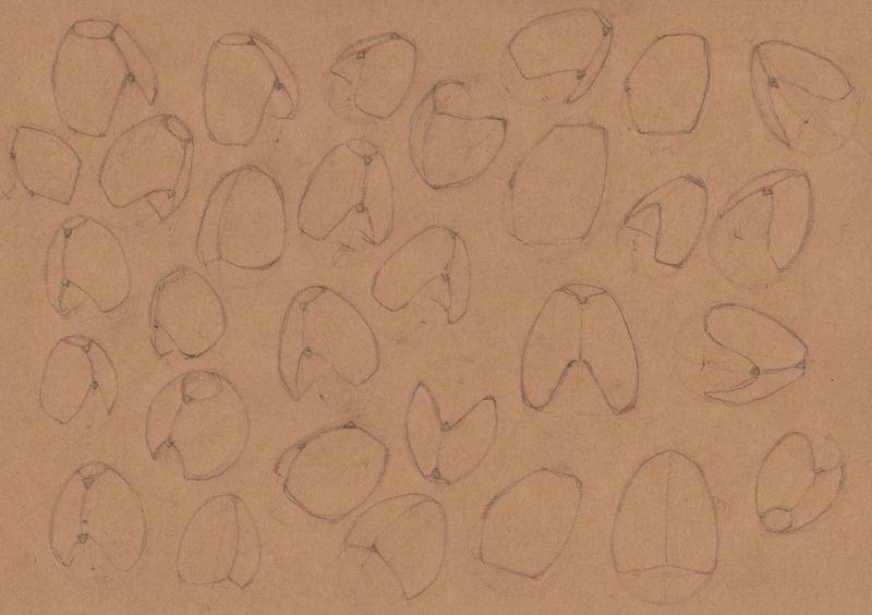Week 10 - Volume and Structure - image 3 - student project