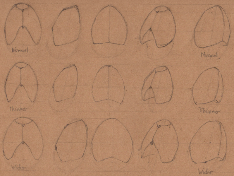 Week 10 - Volume and Structure - image 1 - student project