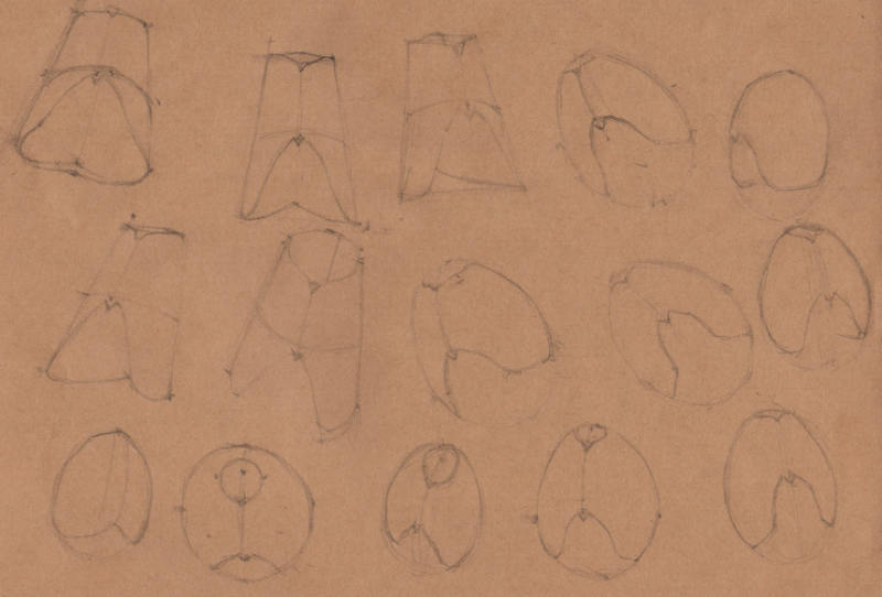 Week 10 - Volume and Structure - image 2 - student project