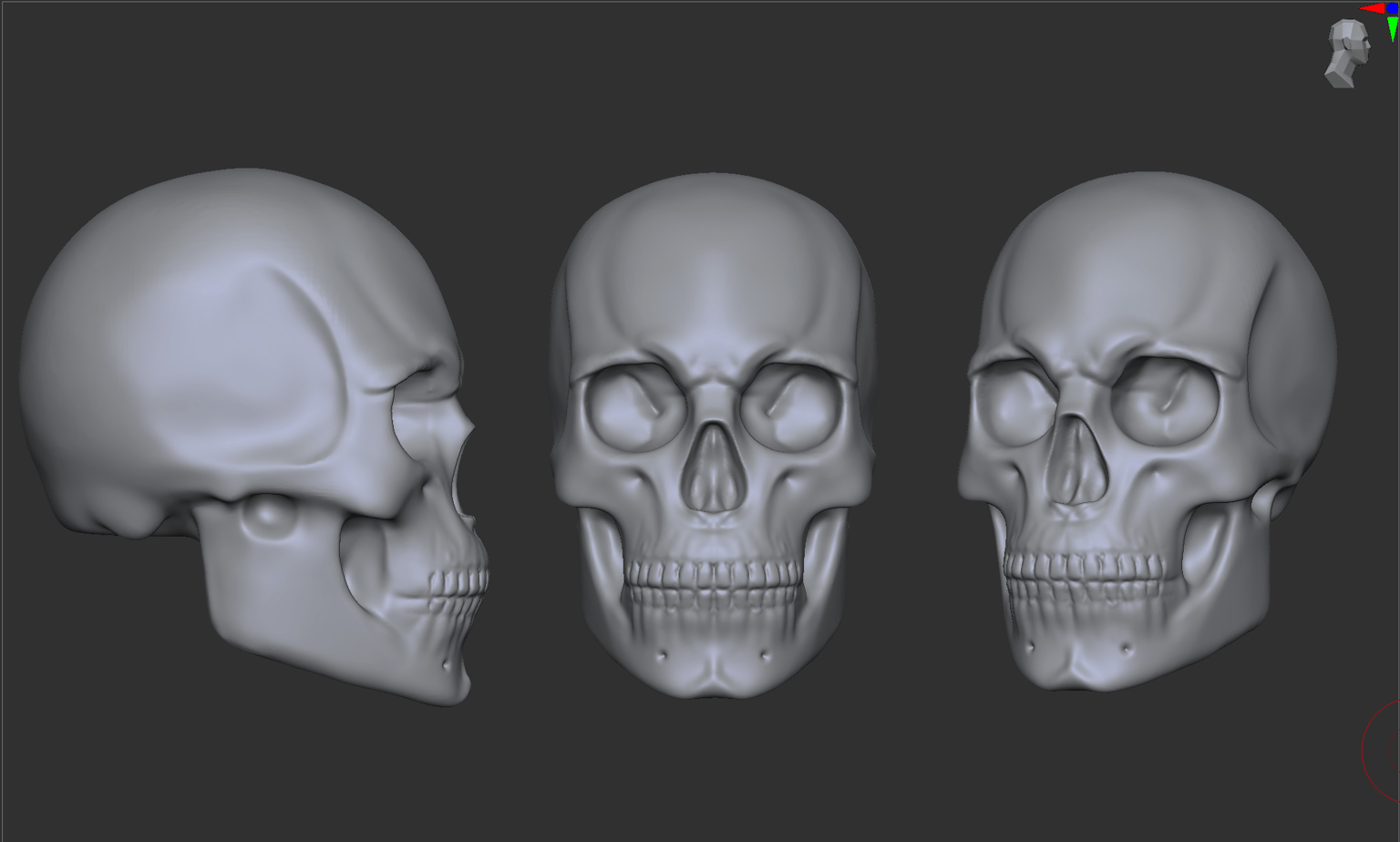 Sculpting the Human Skull - image 1 - student project
