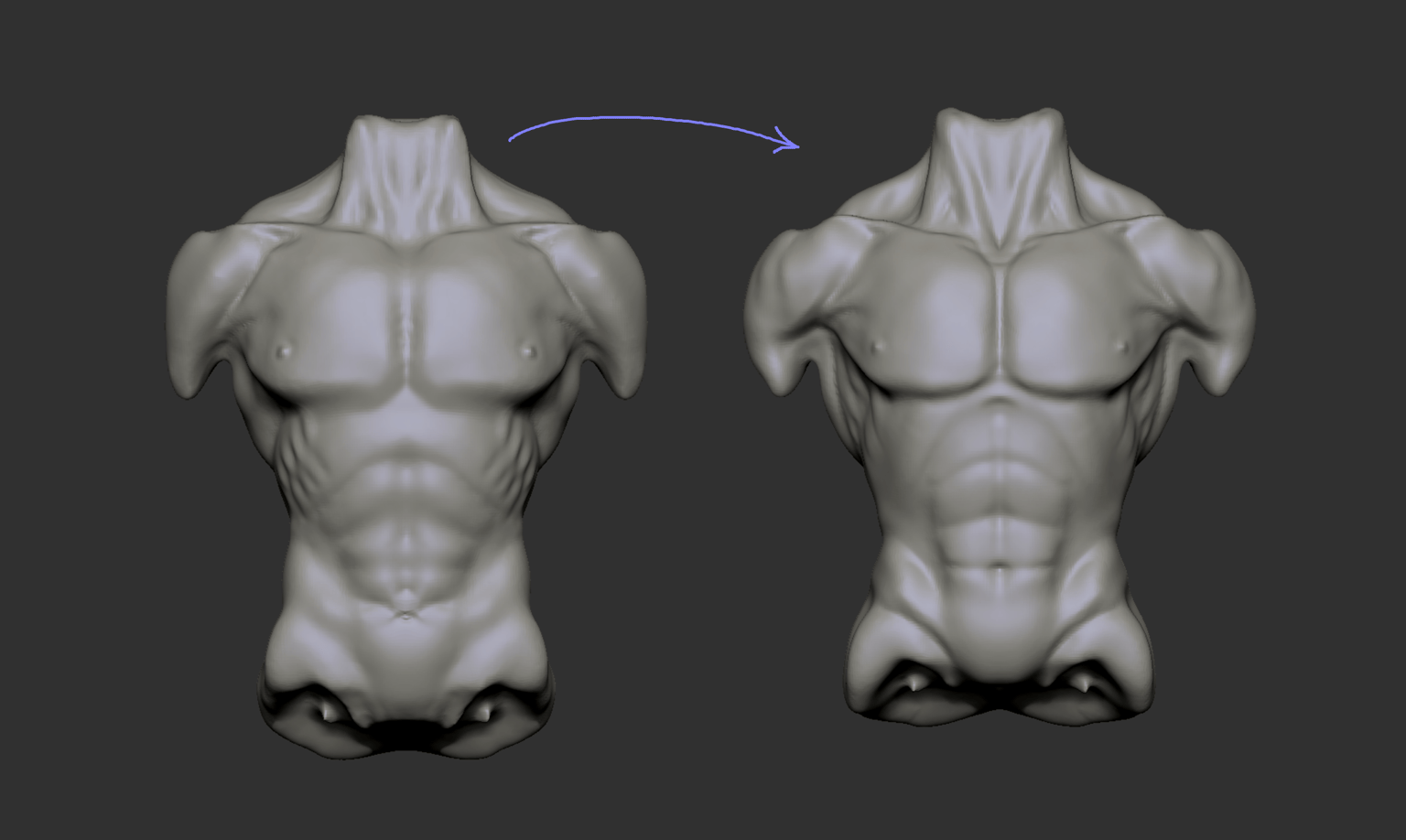 Muscles of the Torso - image 1 - student project