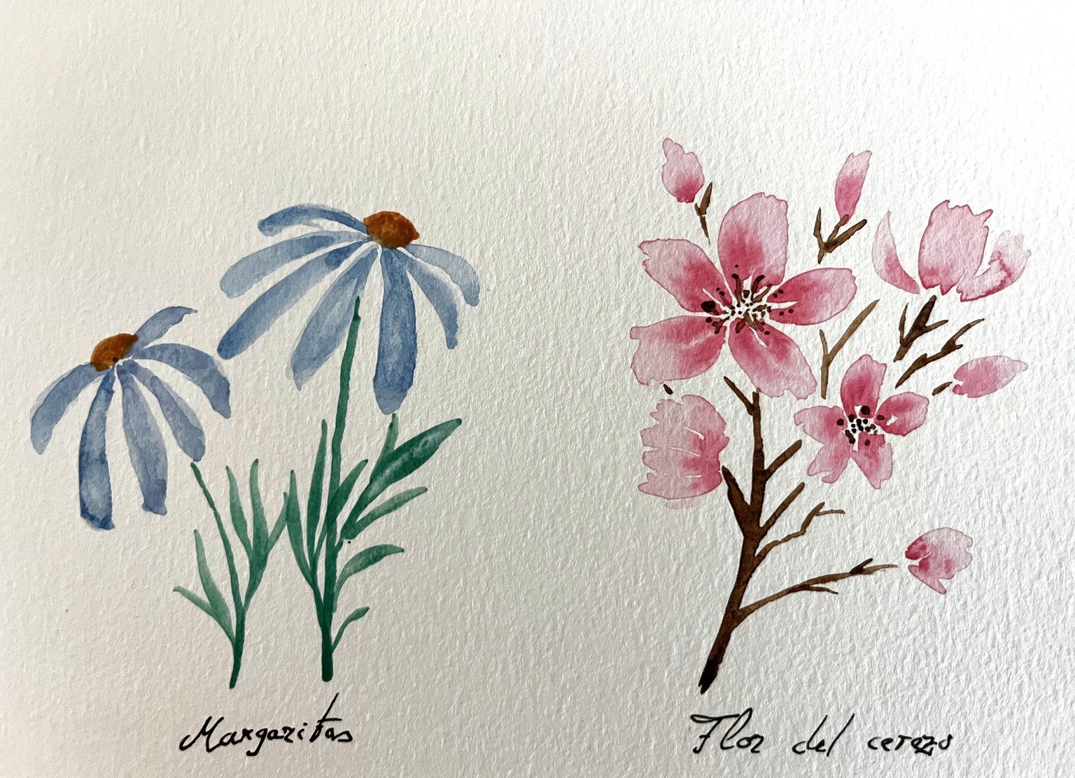 Flores - image 1 - student project