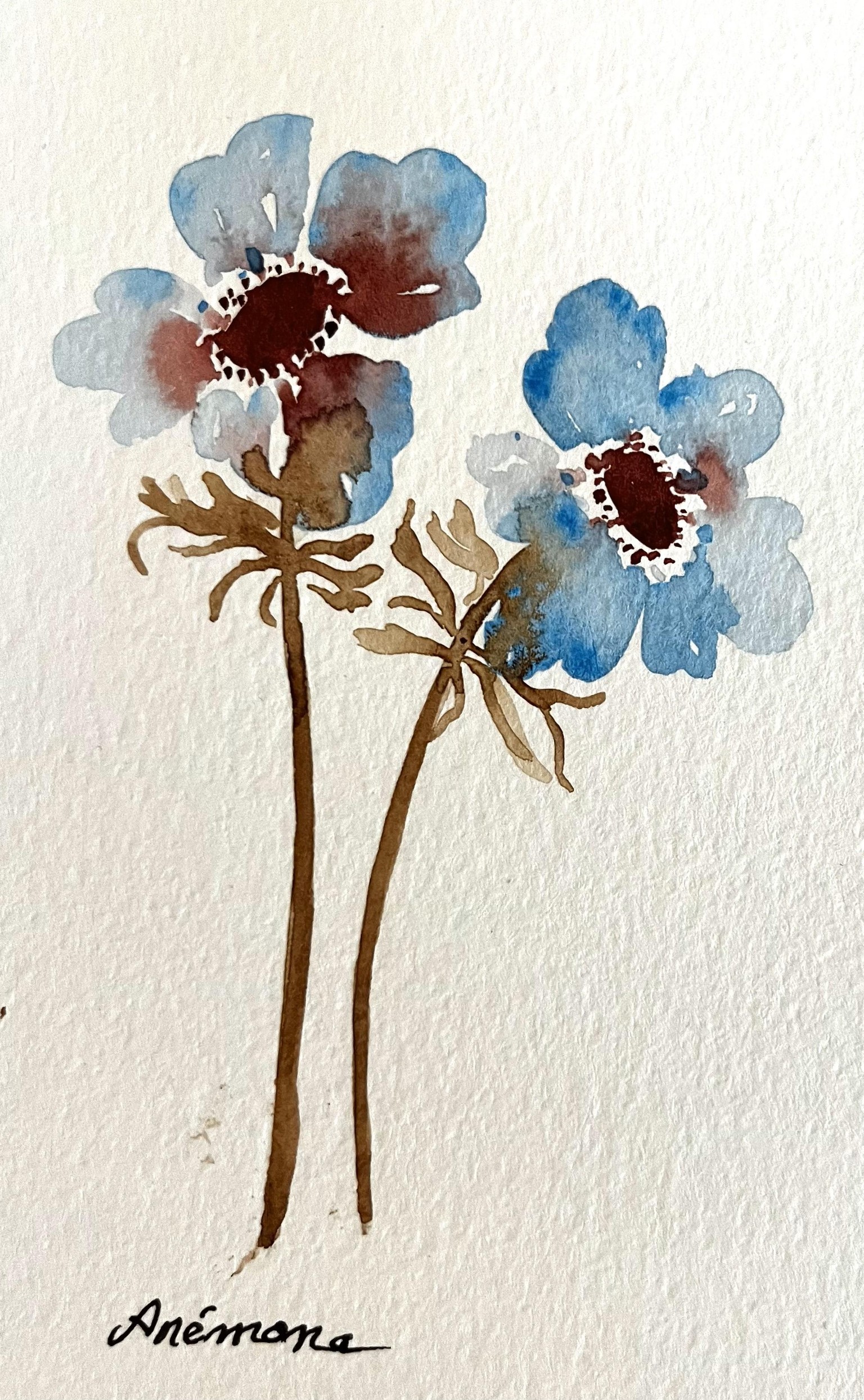 Flores - image 2 - student project