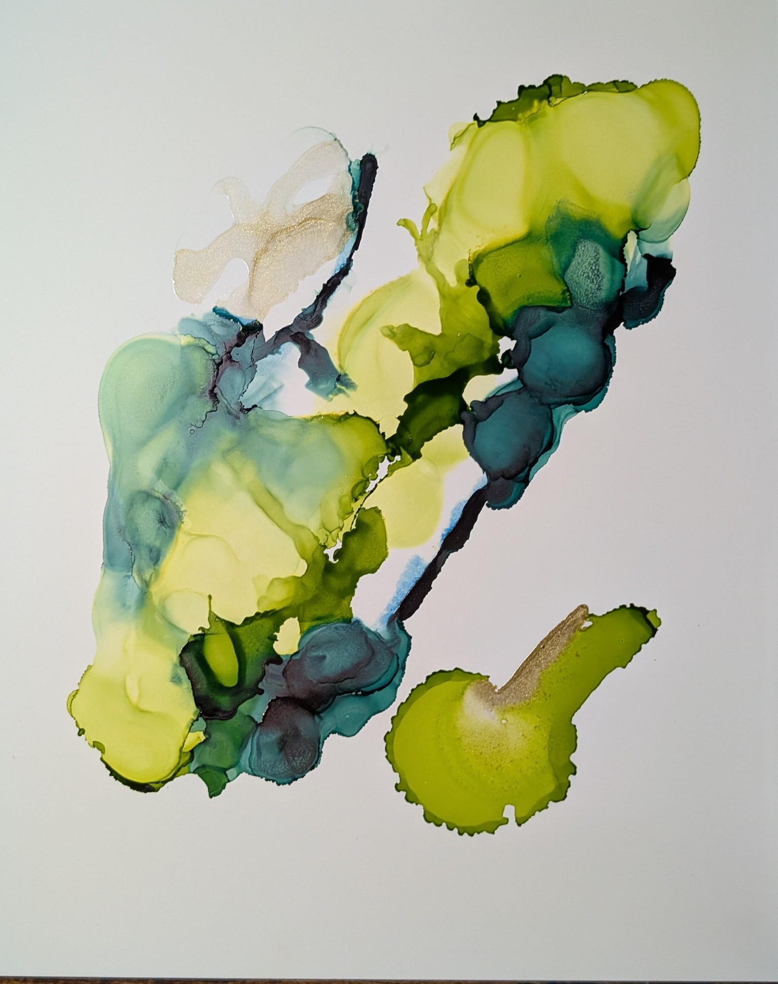 Alcohol Ink Rocks - image 2 - student project
