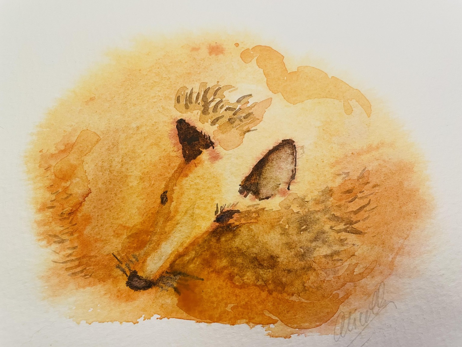 My Fluffy Fox I - image 1 - student project