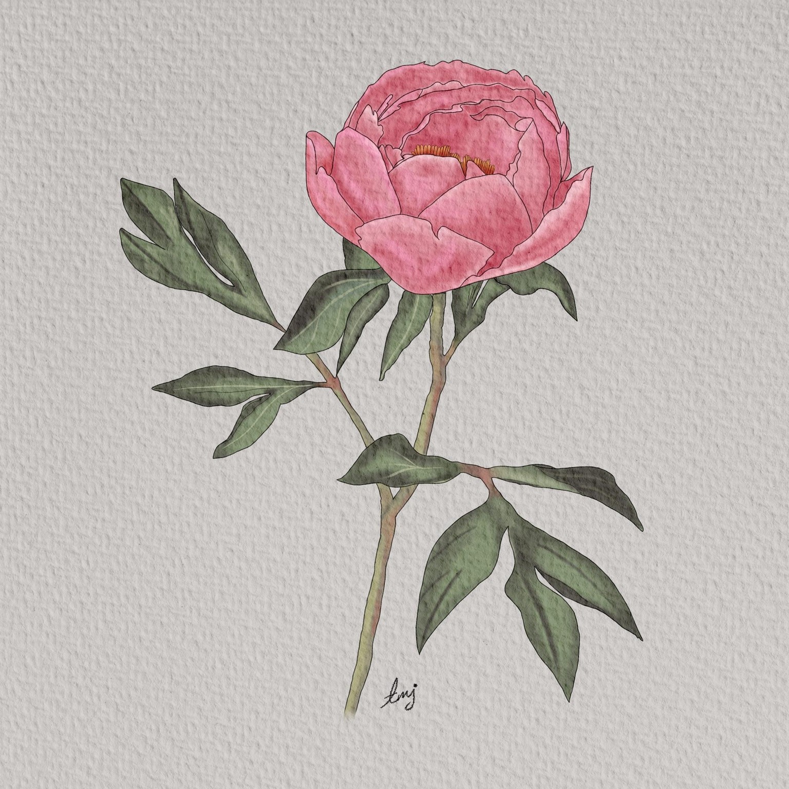 Watercolor flower - image 1 - student project