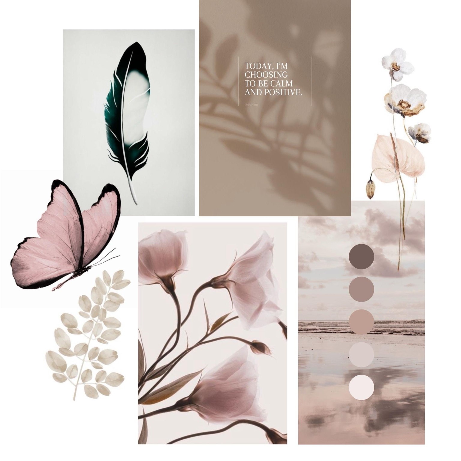 Gift wrap - image 1 - student project