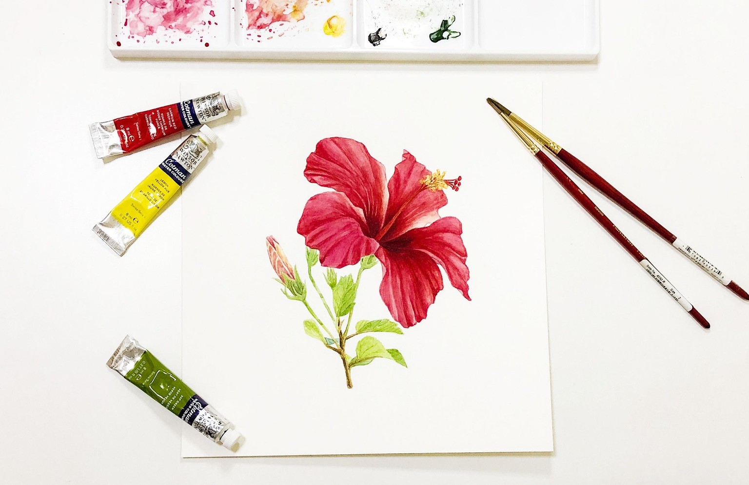 Watercolor Tropical Flower - Hibiscus - image 1 - student project