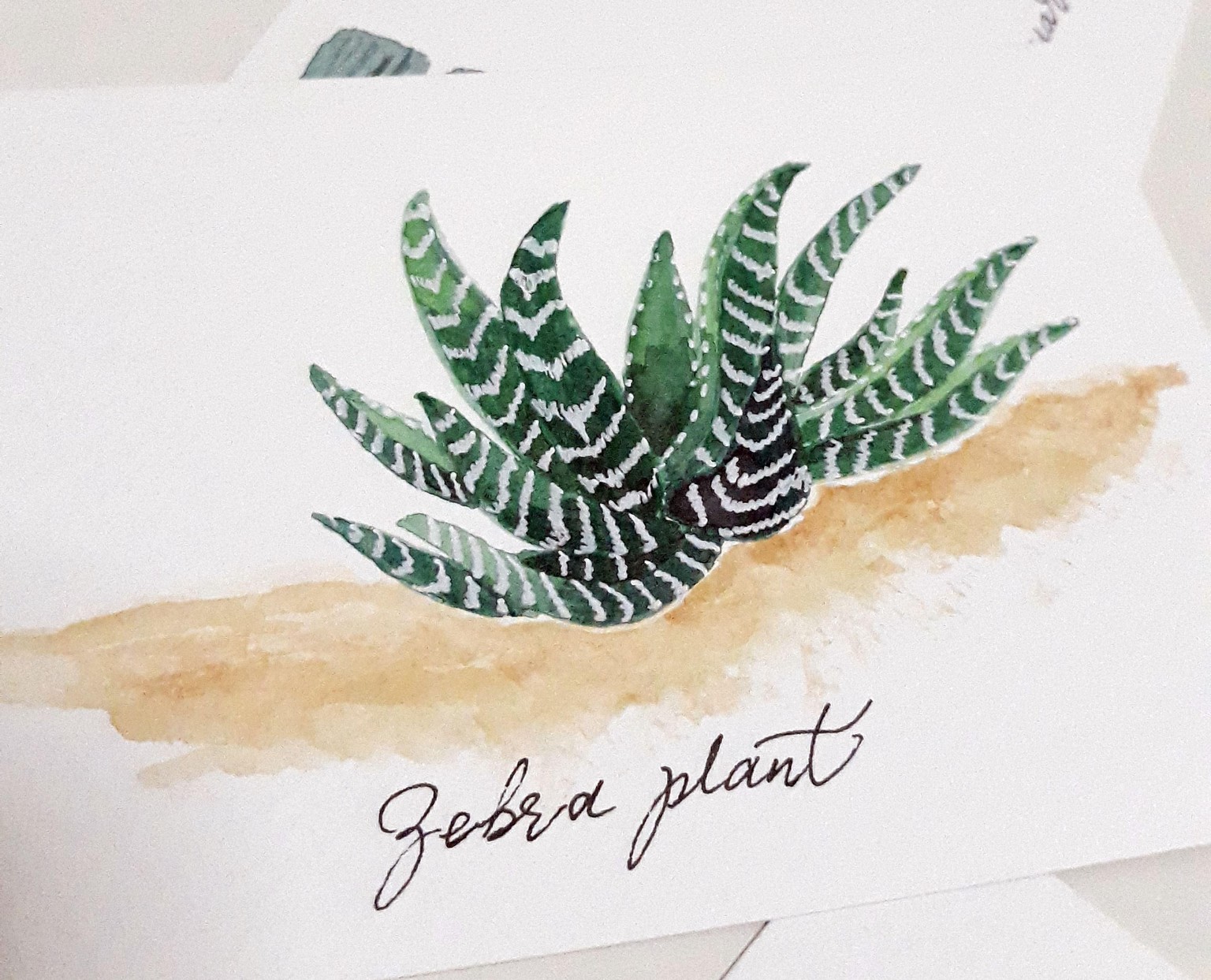 My Watercolor Cacti & Succulents - image 1 - student project