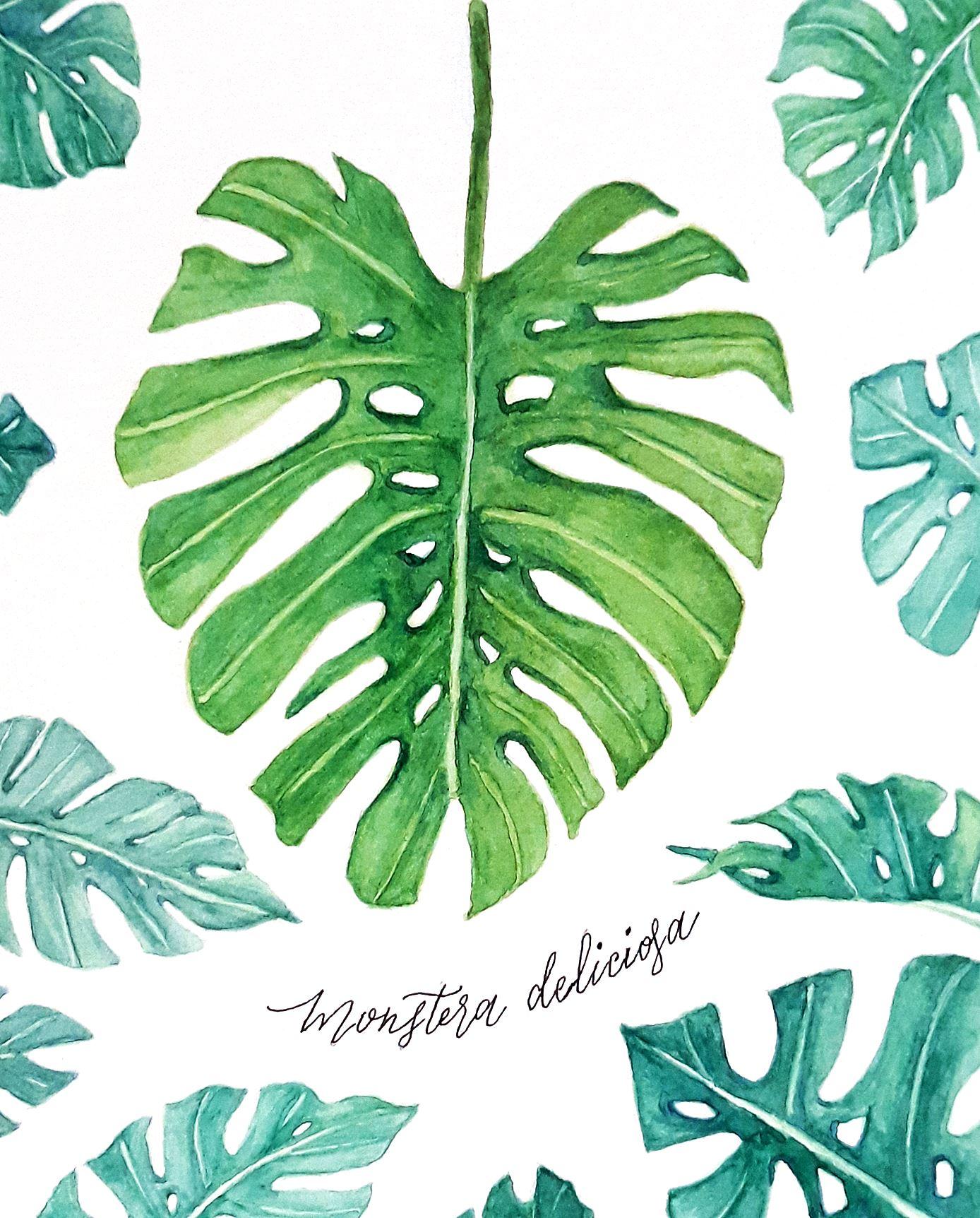 My Monstera Leaves - image 1 - student project