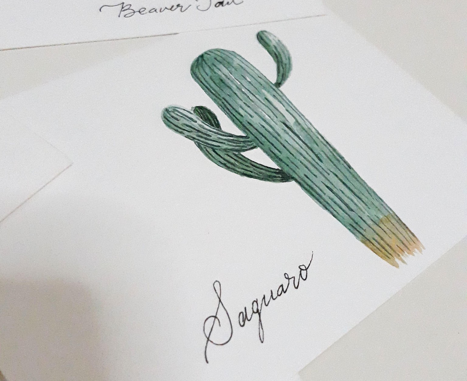 My Watercolor Cacti & Succulents - image 3 - student project