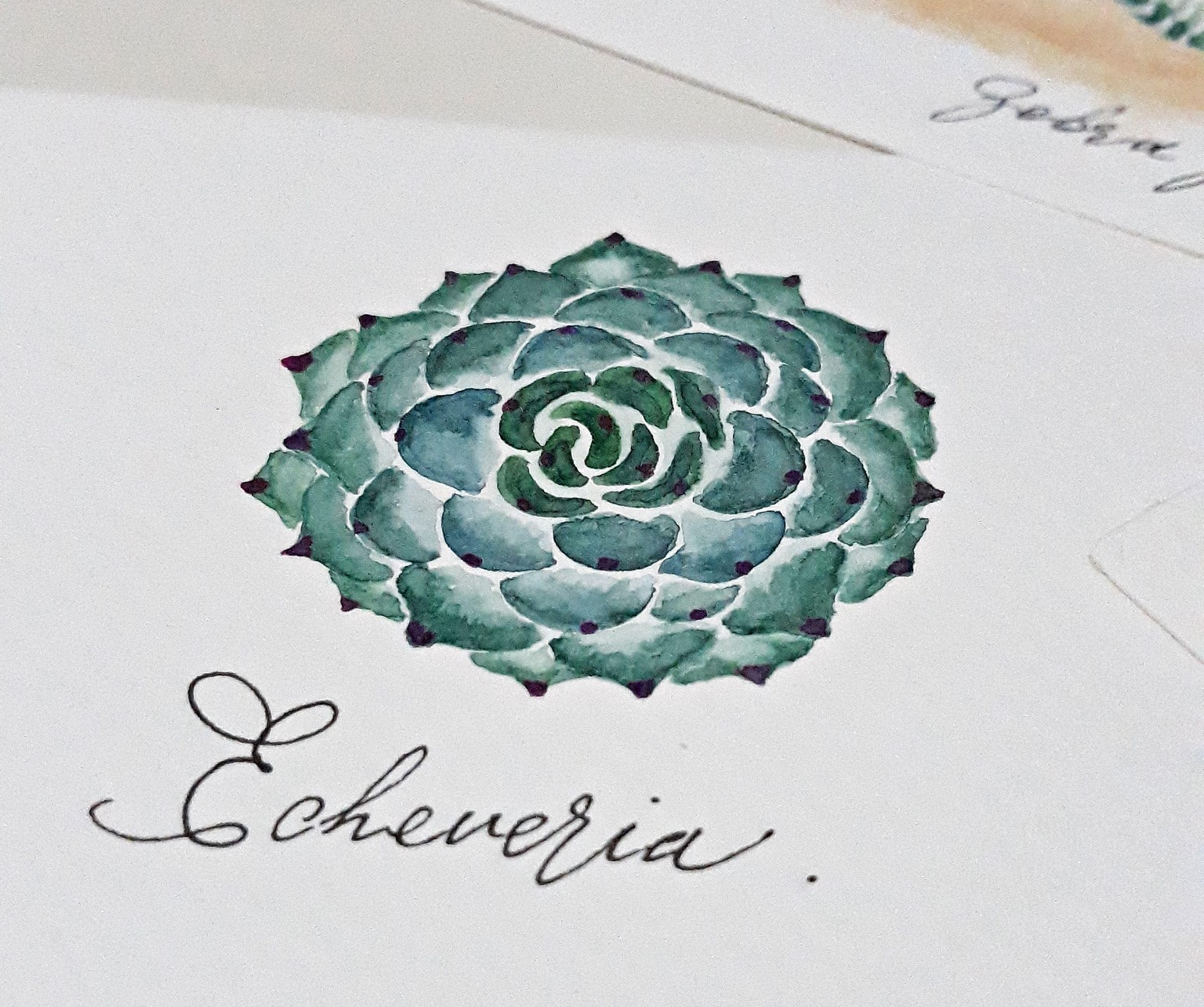 My Watercolor Cacti & Succulents - image 2 - student project