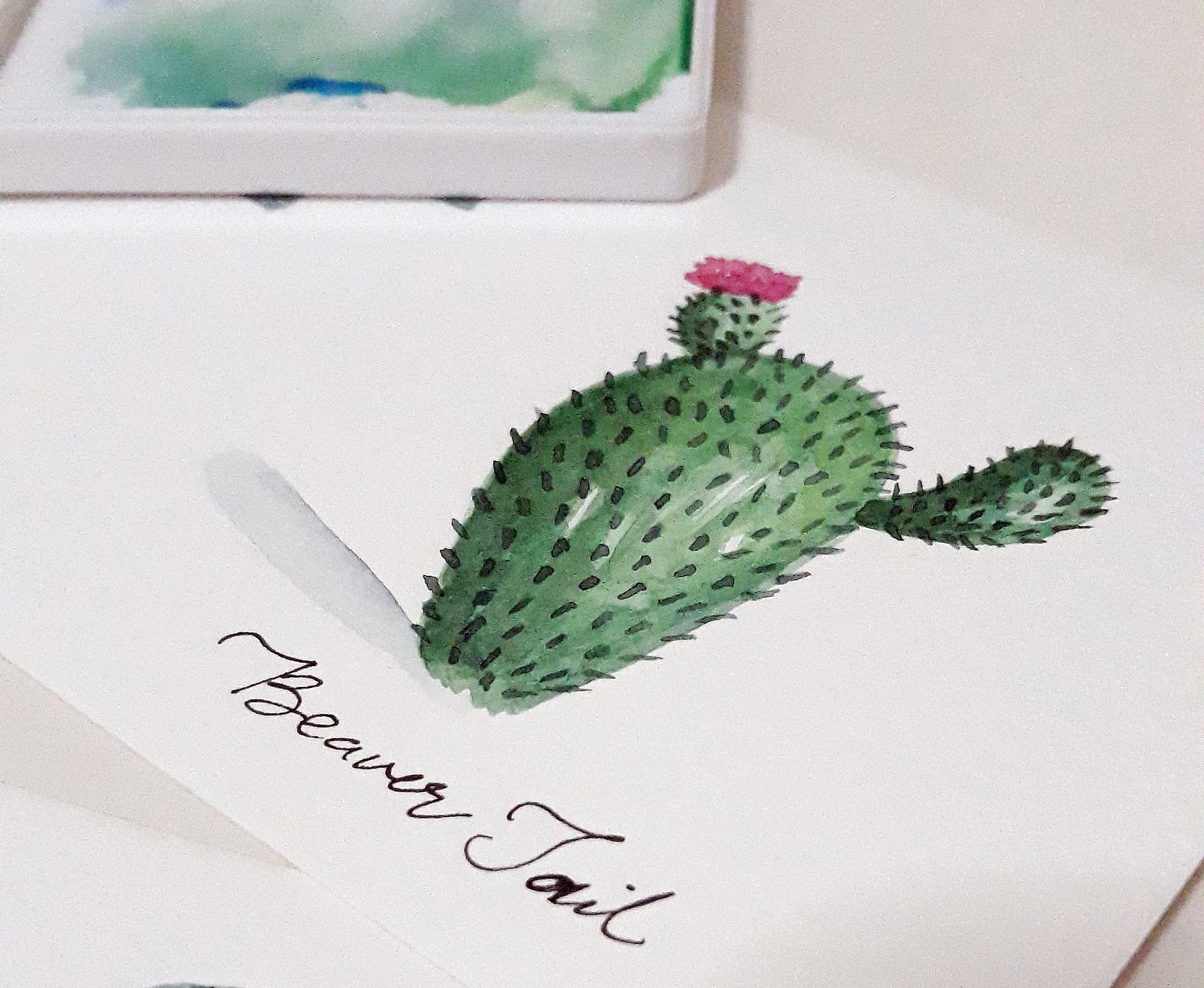 My Watercolor Cacti & Succulents - image 4 - student project