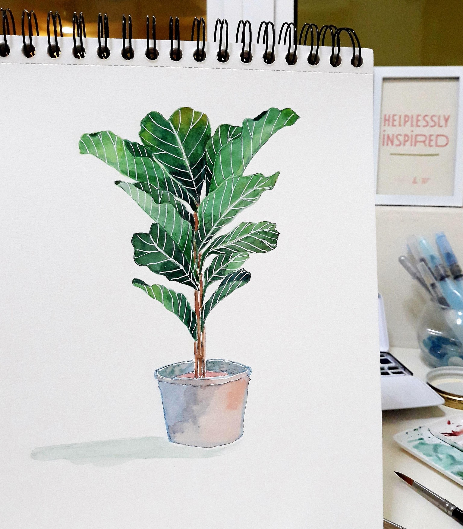My Fiddle-leaf Fig - image 1 - student project