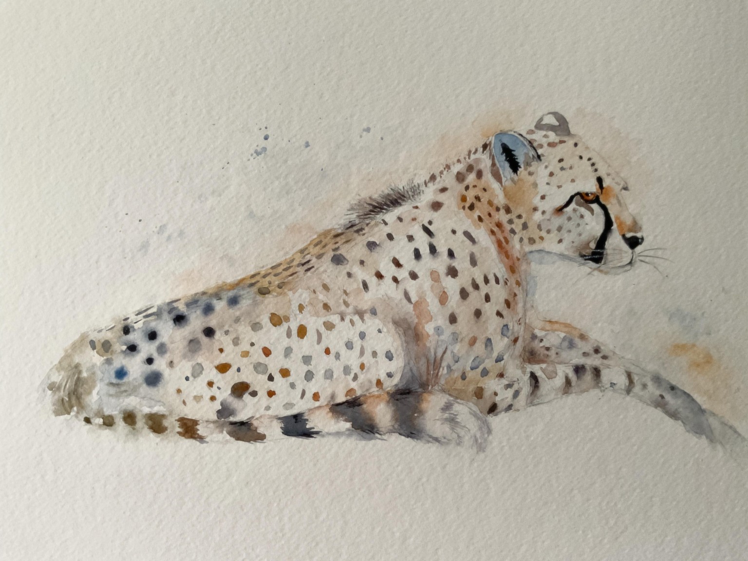 Expressive watercolour cheetah - image 1 - student project
