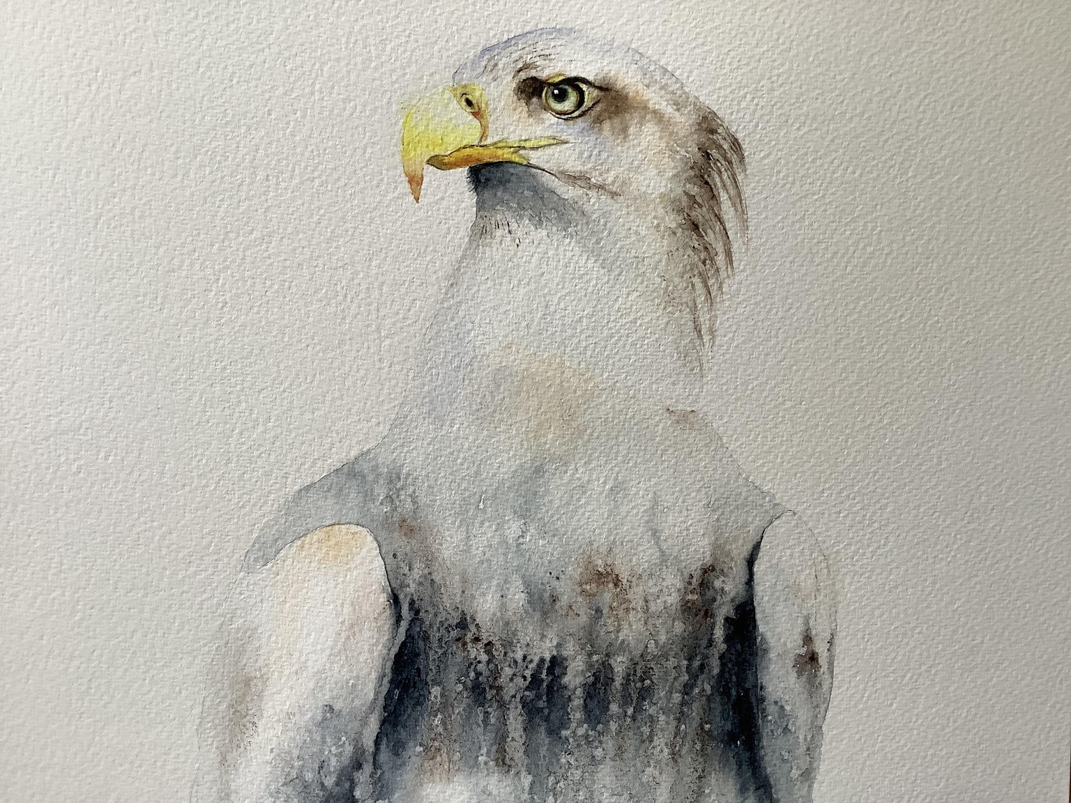 Sea eagle tutorial - image 1 - student project