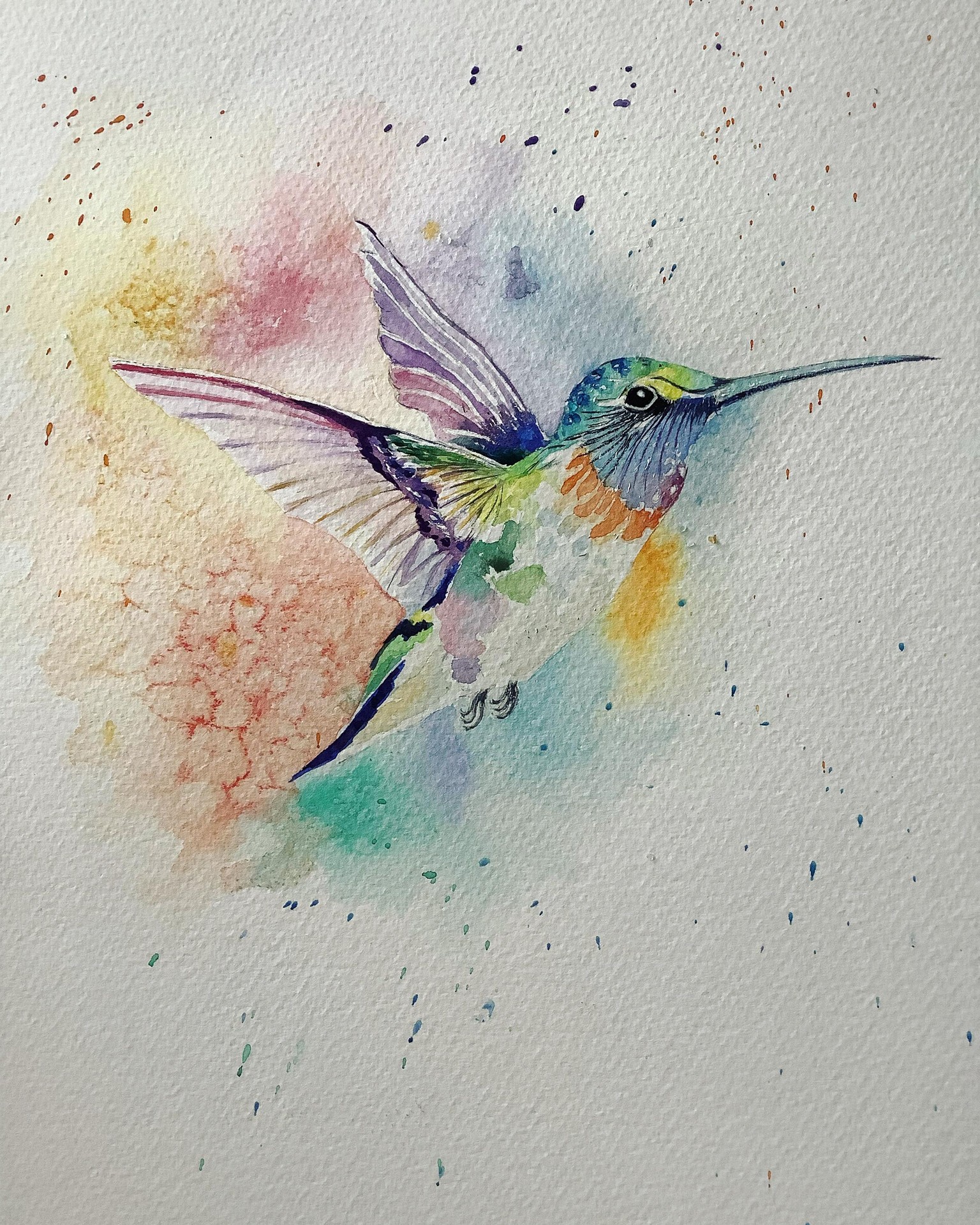 Hummingbird tutorial - image 1 - student project