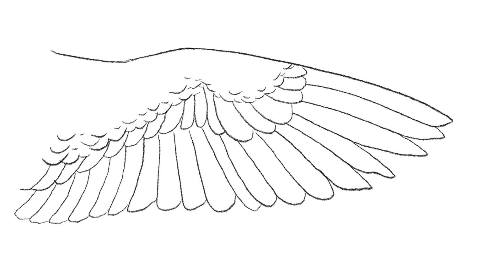 Two Wings - image 5 - student project