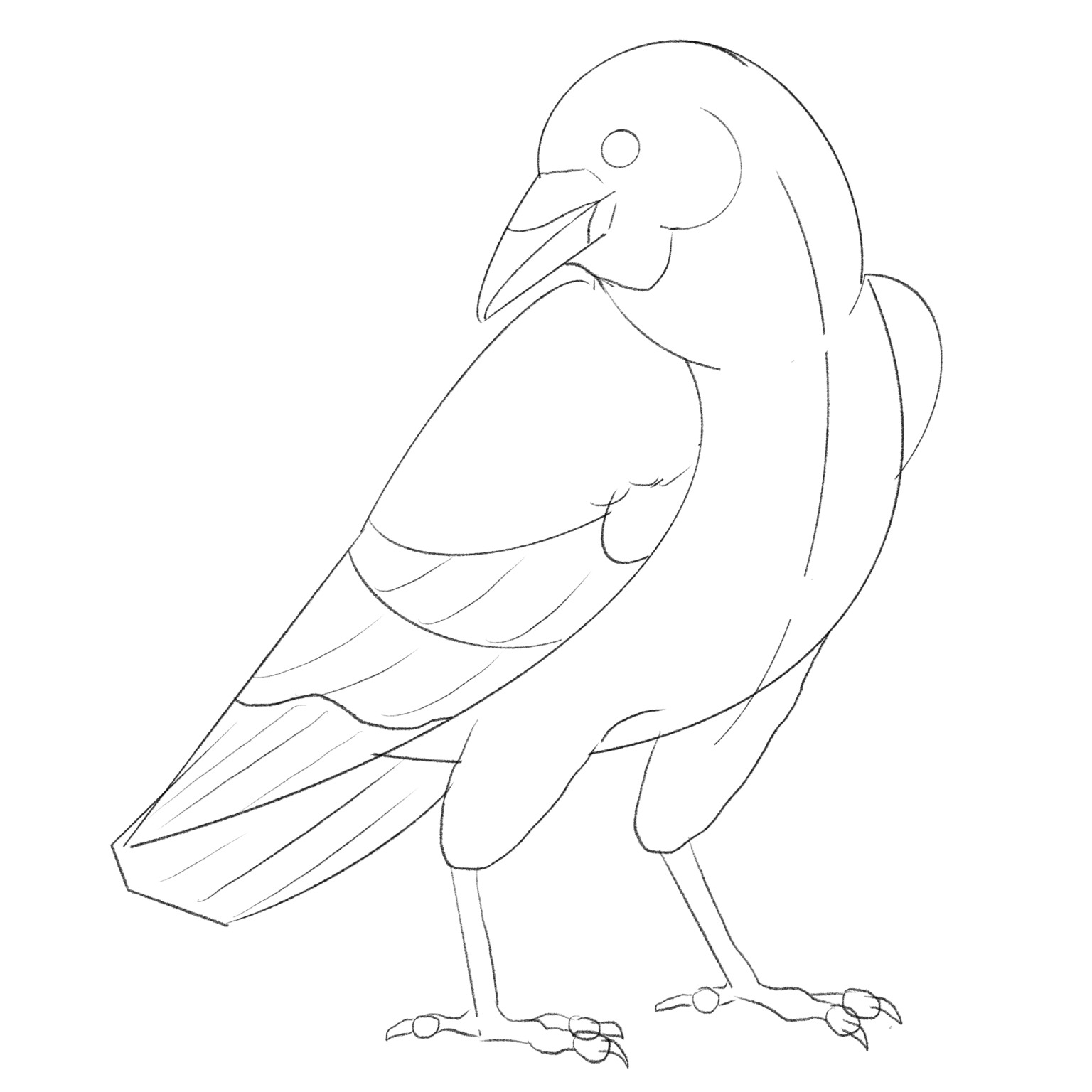 Crow Drawing - image 2 - student project