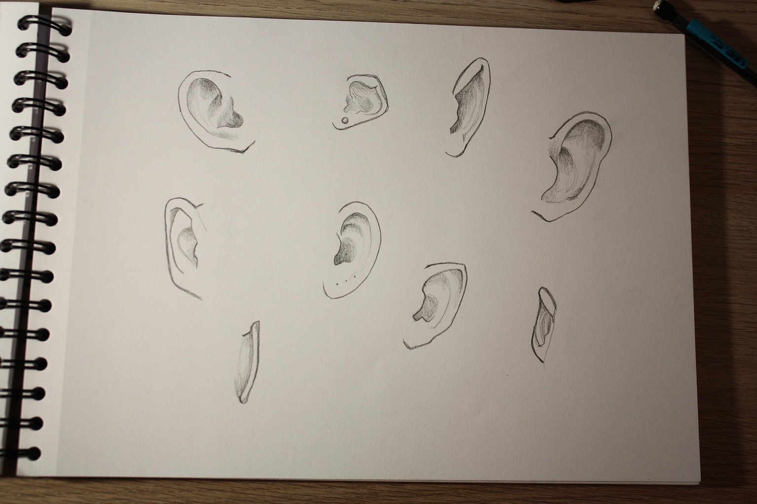 Features of the face - image 2 - student project