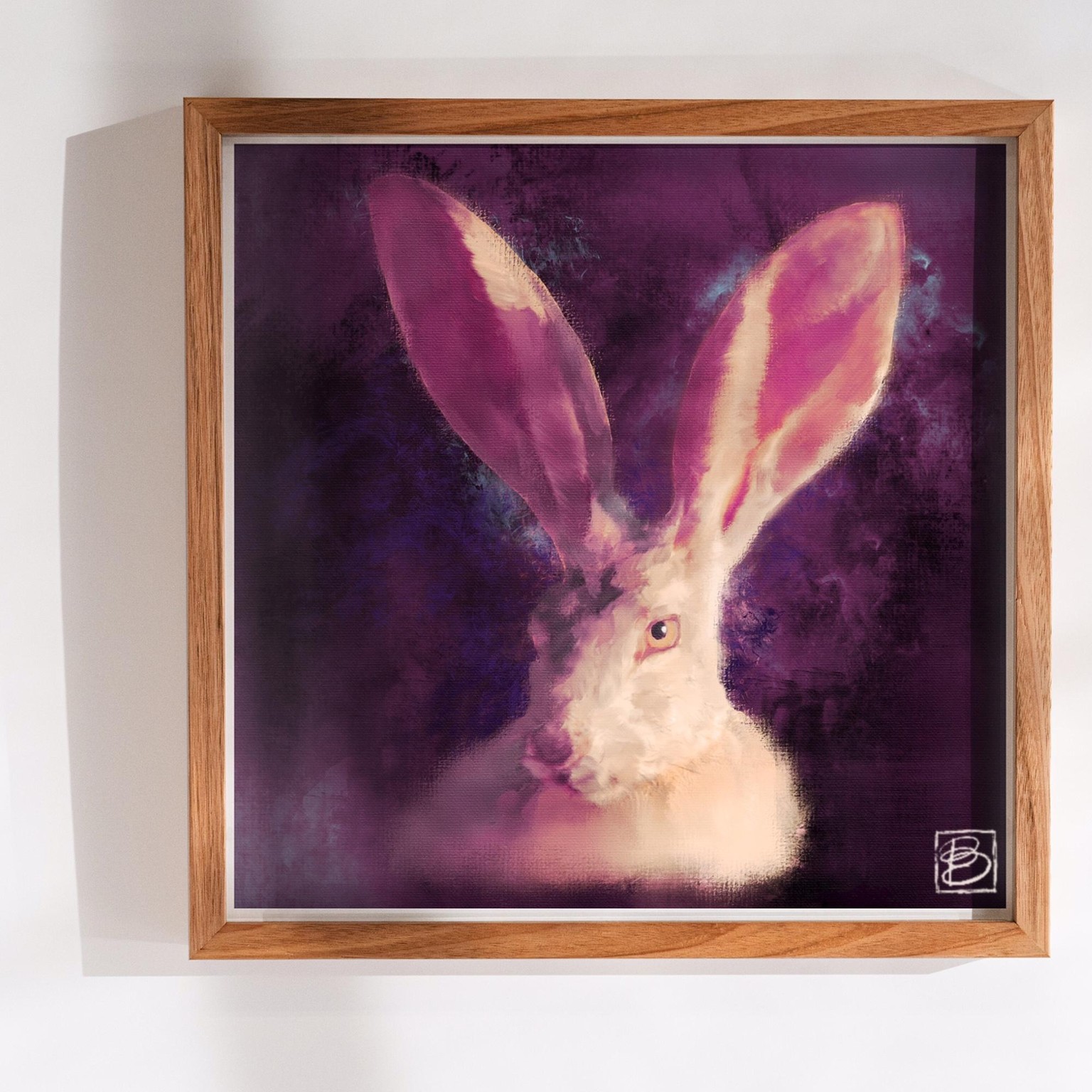 Jackrabbit - image 1 - student project