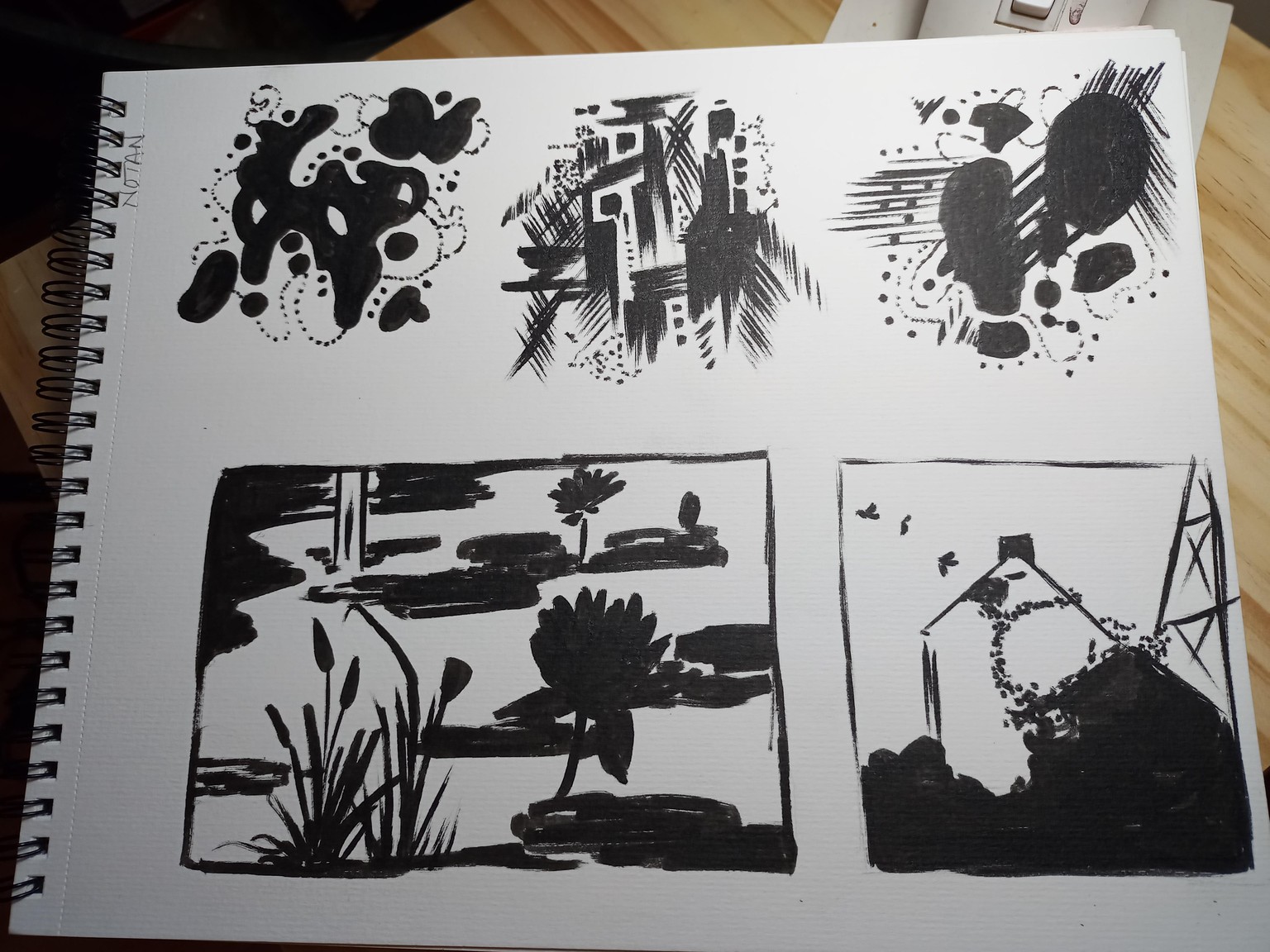 Experimenting with notan - image 1 - student project