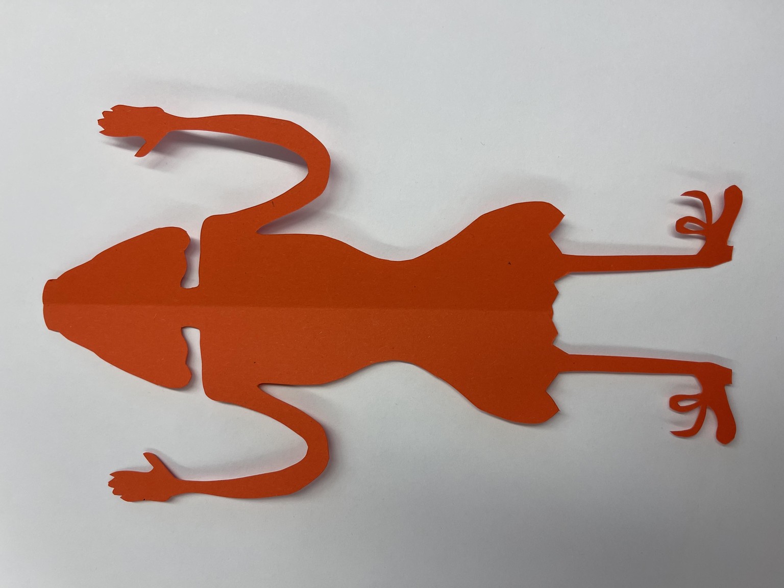 Cut outs - Symmetrical Silhouettes - image 5 - student project