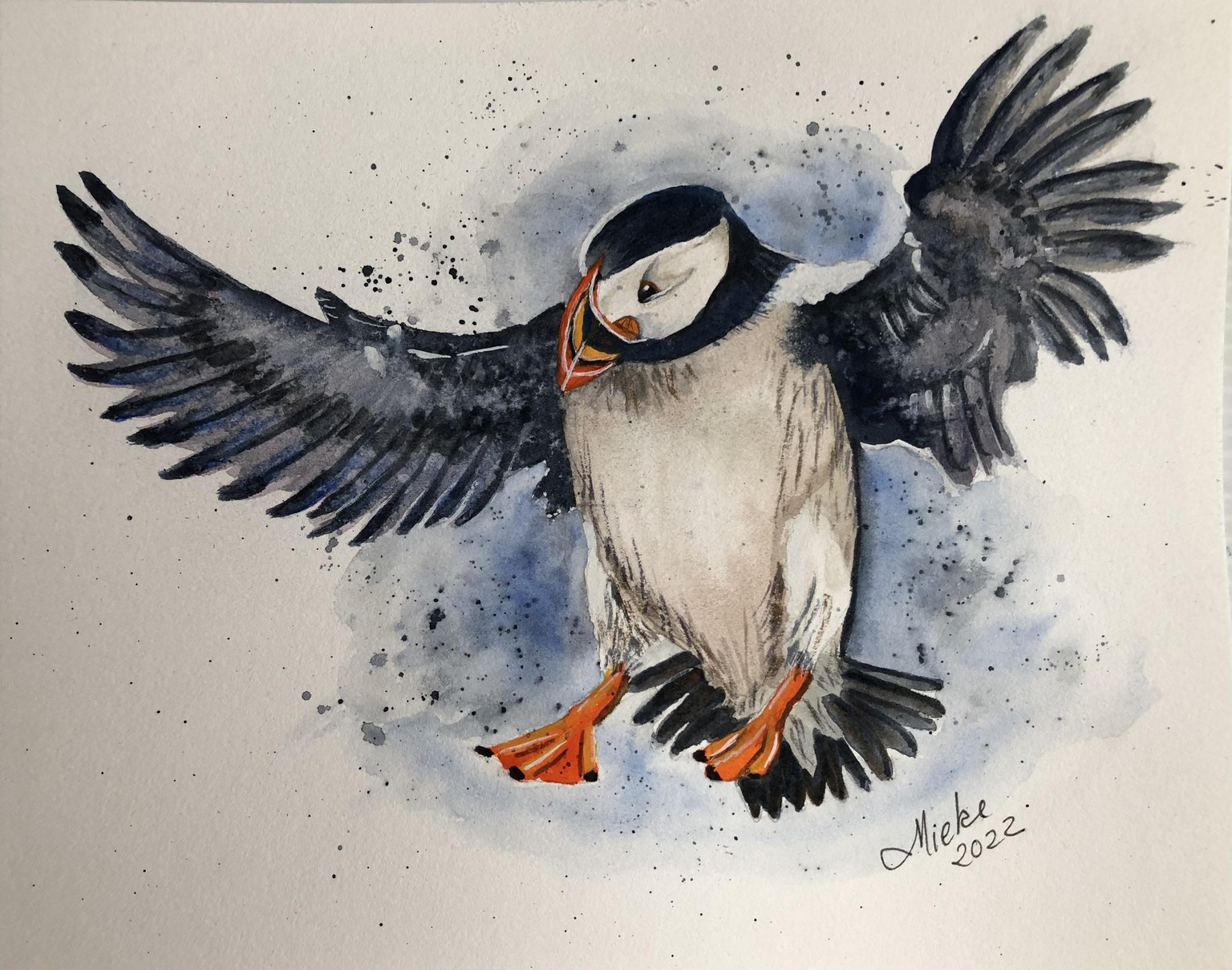 Watercolour Puffin - image 1 - student project