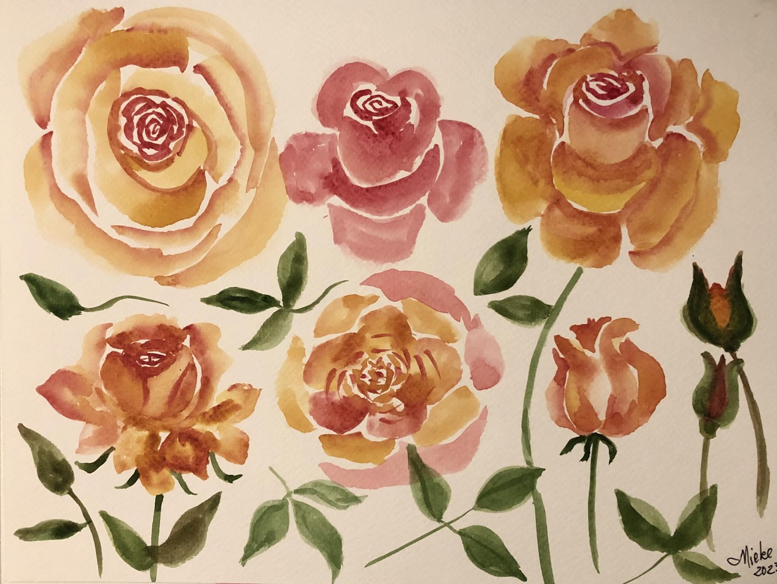 Painting roses in watercolour - image 2 - student project