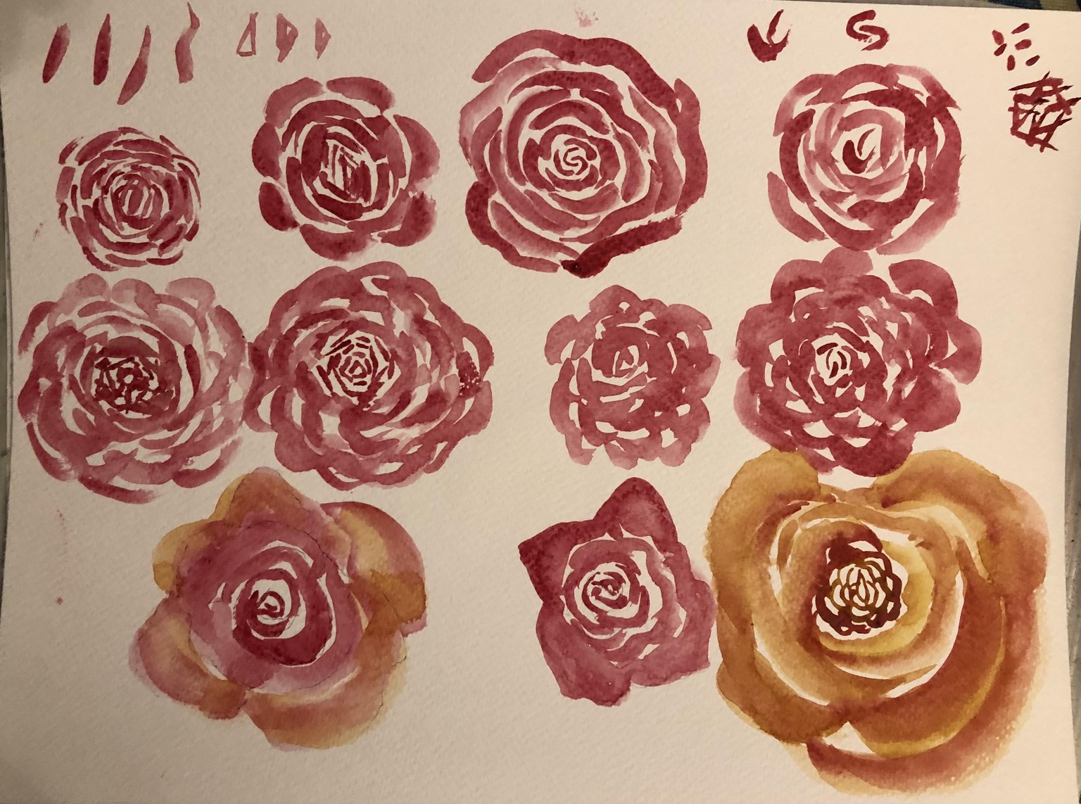 Painting roses in watercolour - image 1 - student project