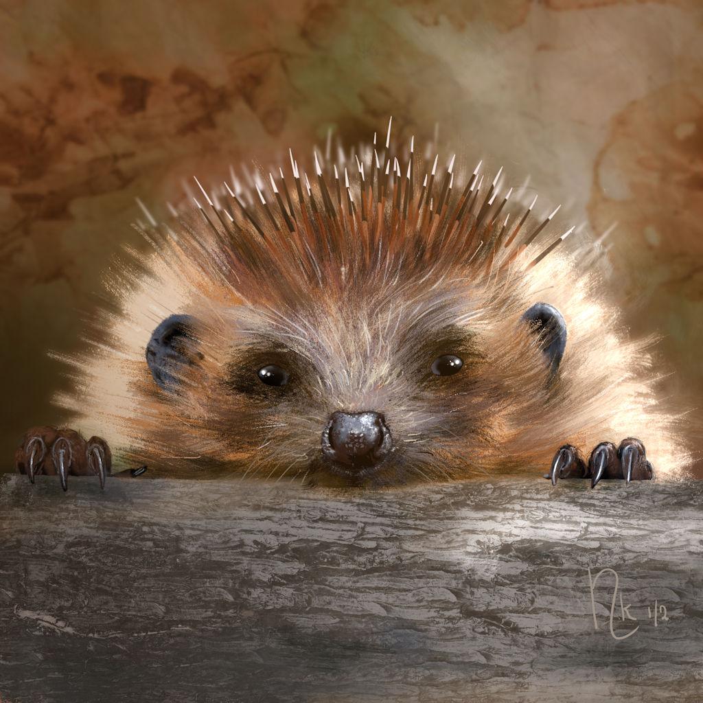 my hedgehog - image 1 - student project