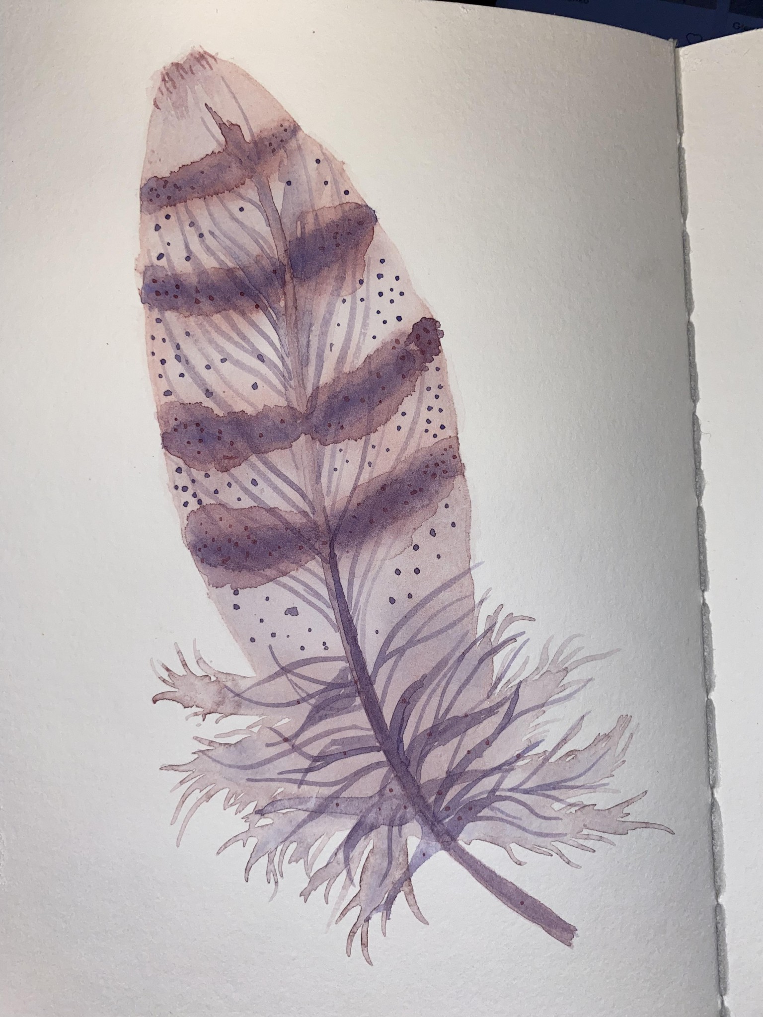 Had fun with brushes - image 7 - student project