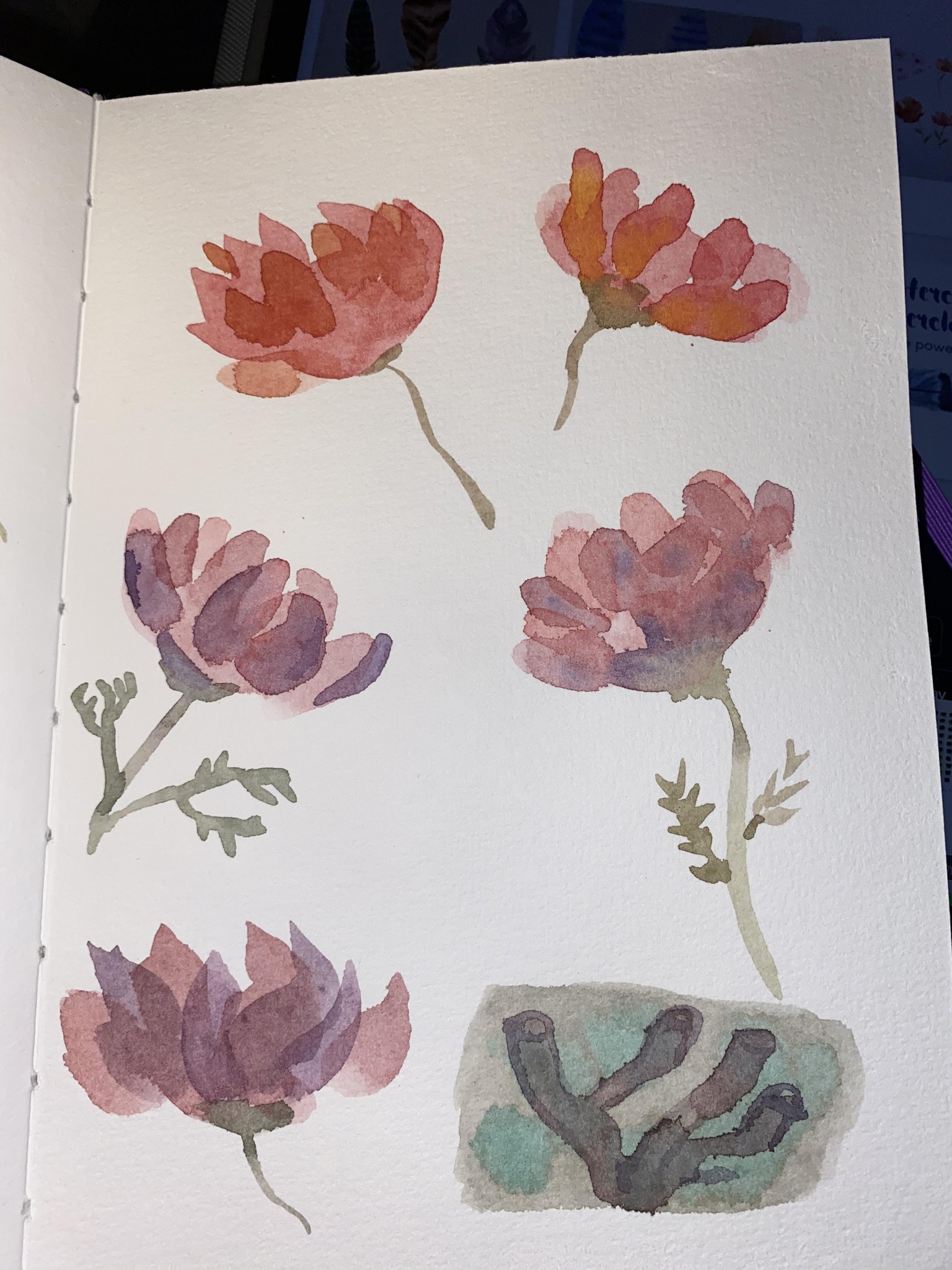 Had fun with brushes - image 6 - student project