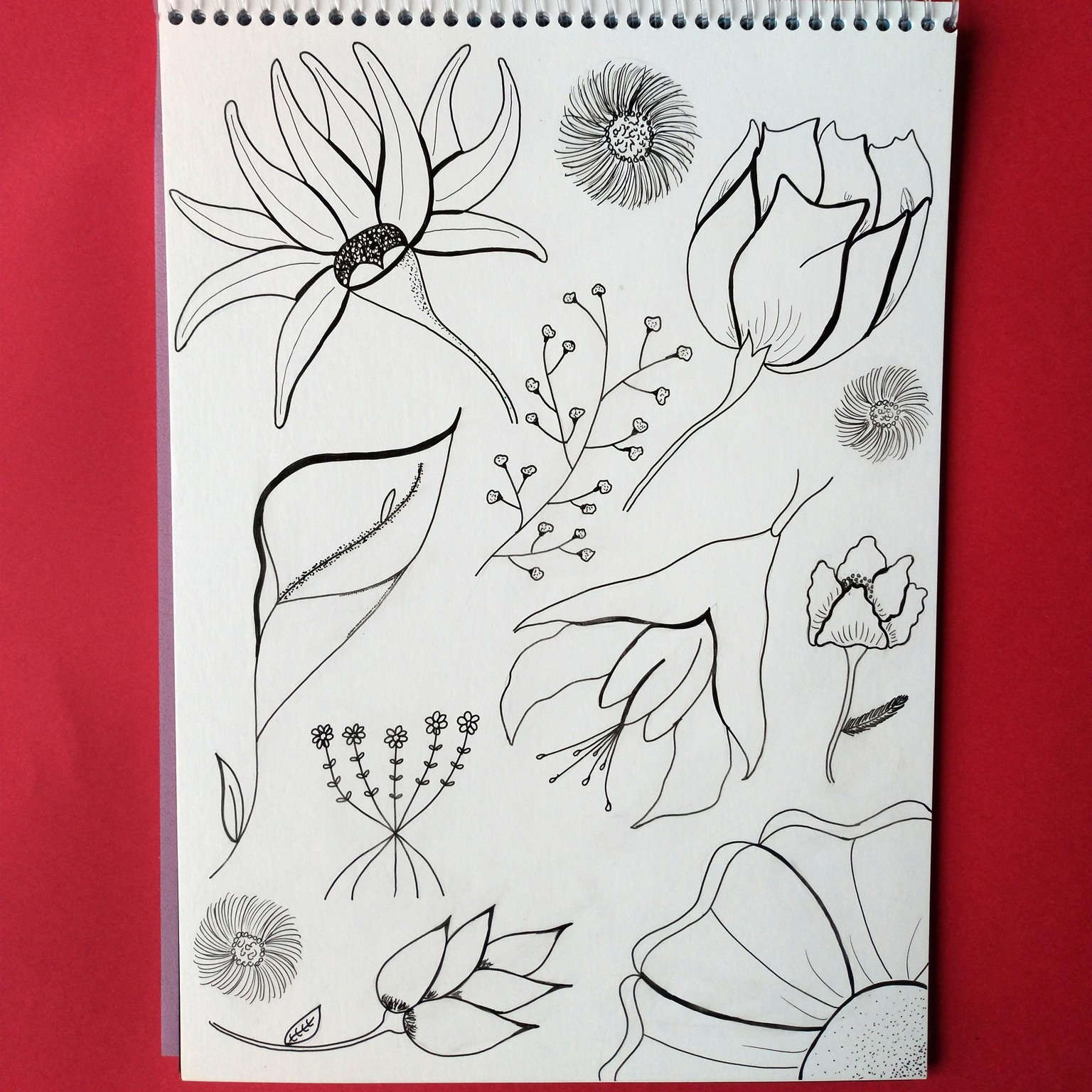 Flowers Page - image 1 - student project