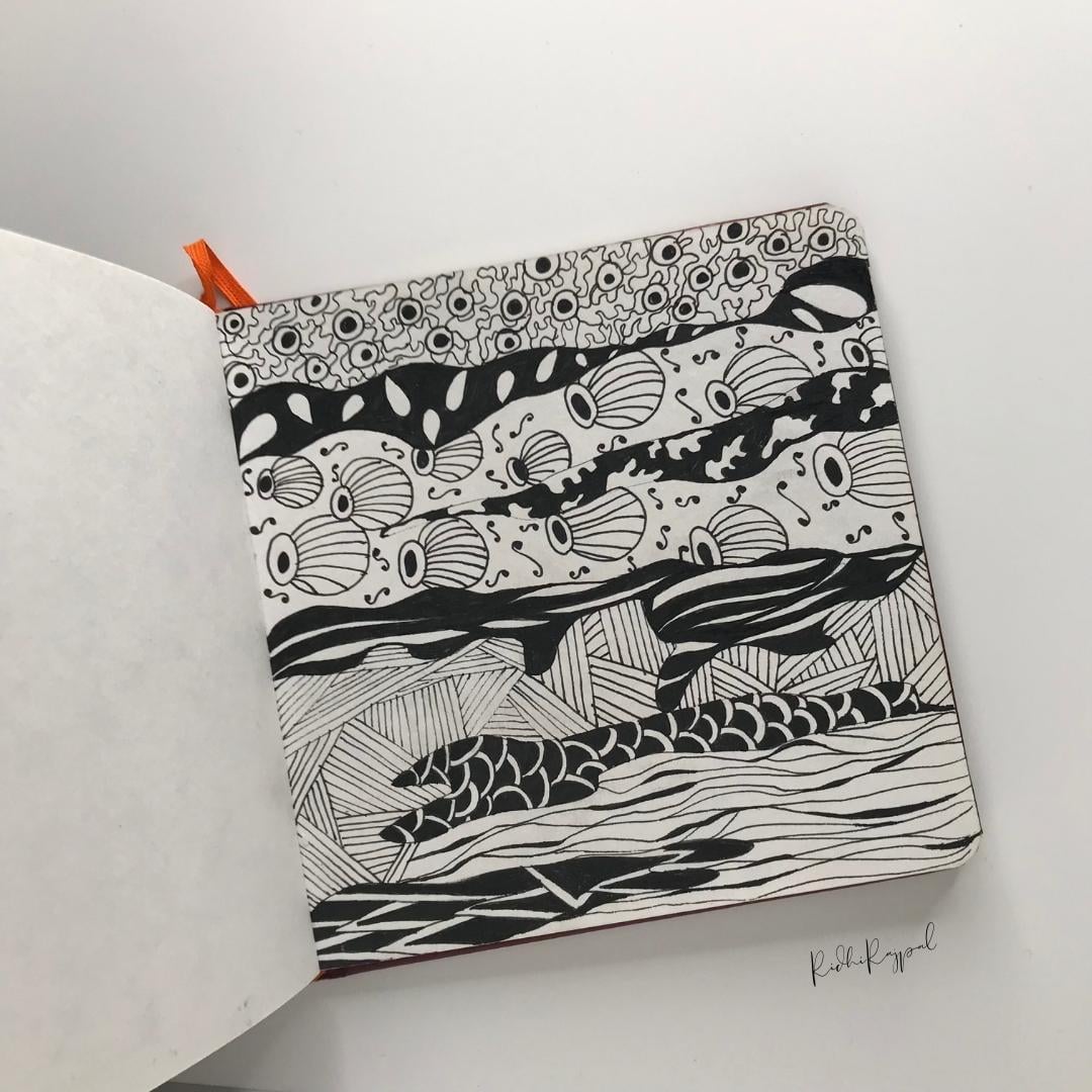 30 Day Challenge - image 27 - student project