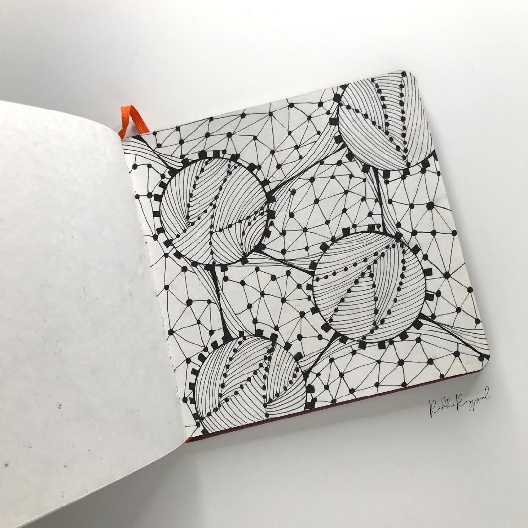 30 Day Challenge - image 23 - student project