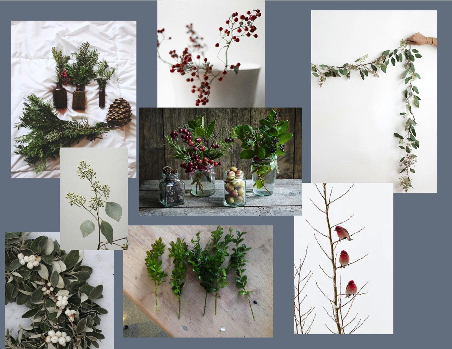 Winter Greenery - image 1 - student project
