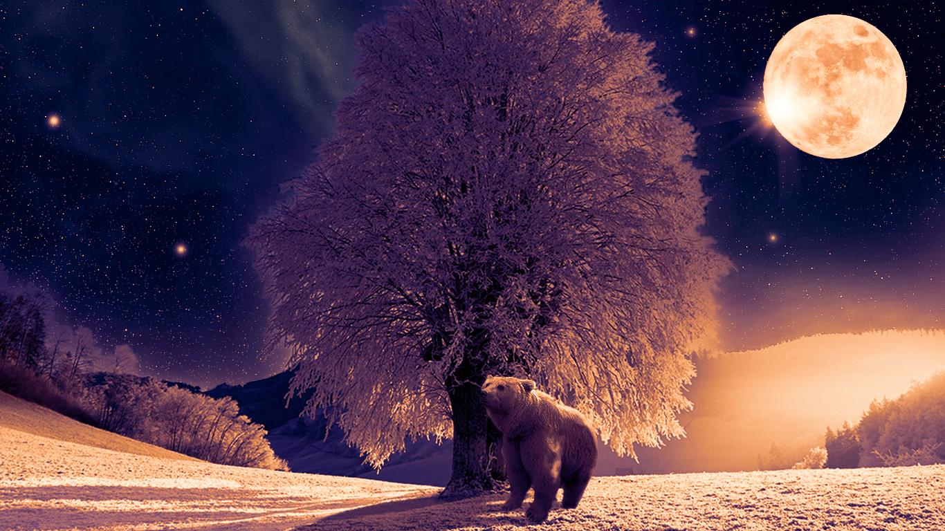 Composite - image 1 - student project