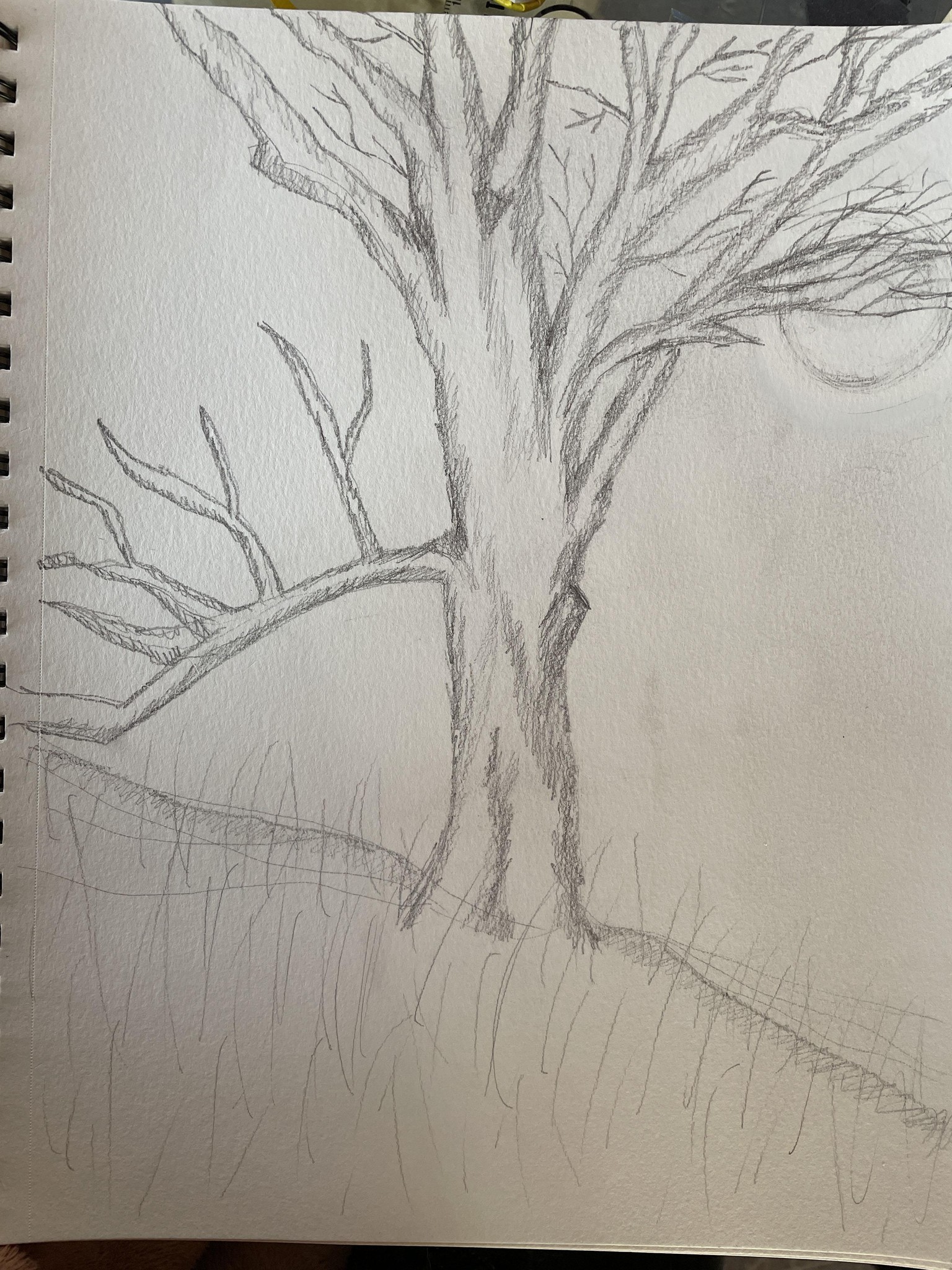 Thank you, Maria! - image 3 - student project