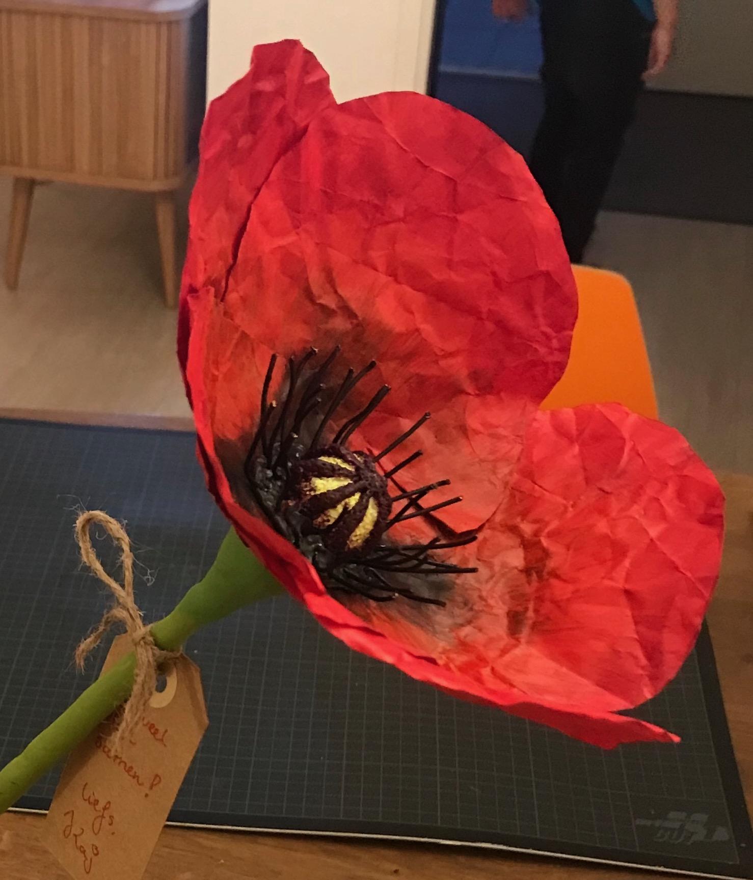 large poppy - image 1 - student project