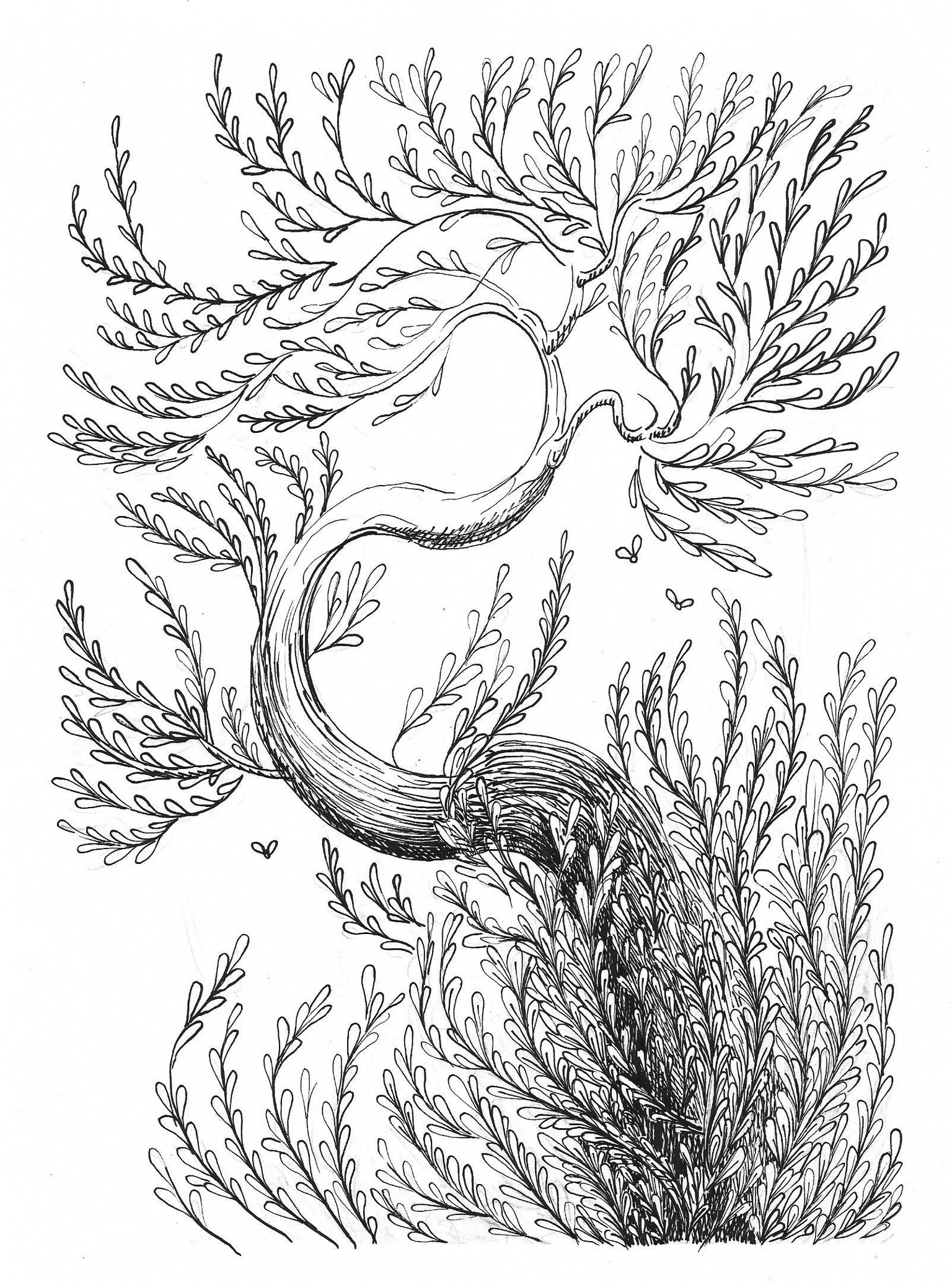 Trying to draw with a dip-tip pen - image 1 - student project