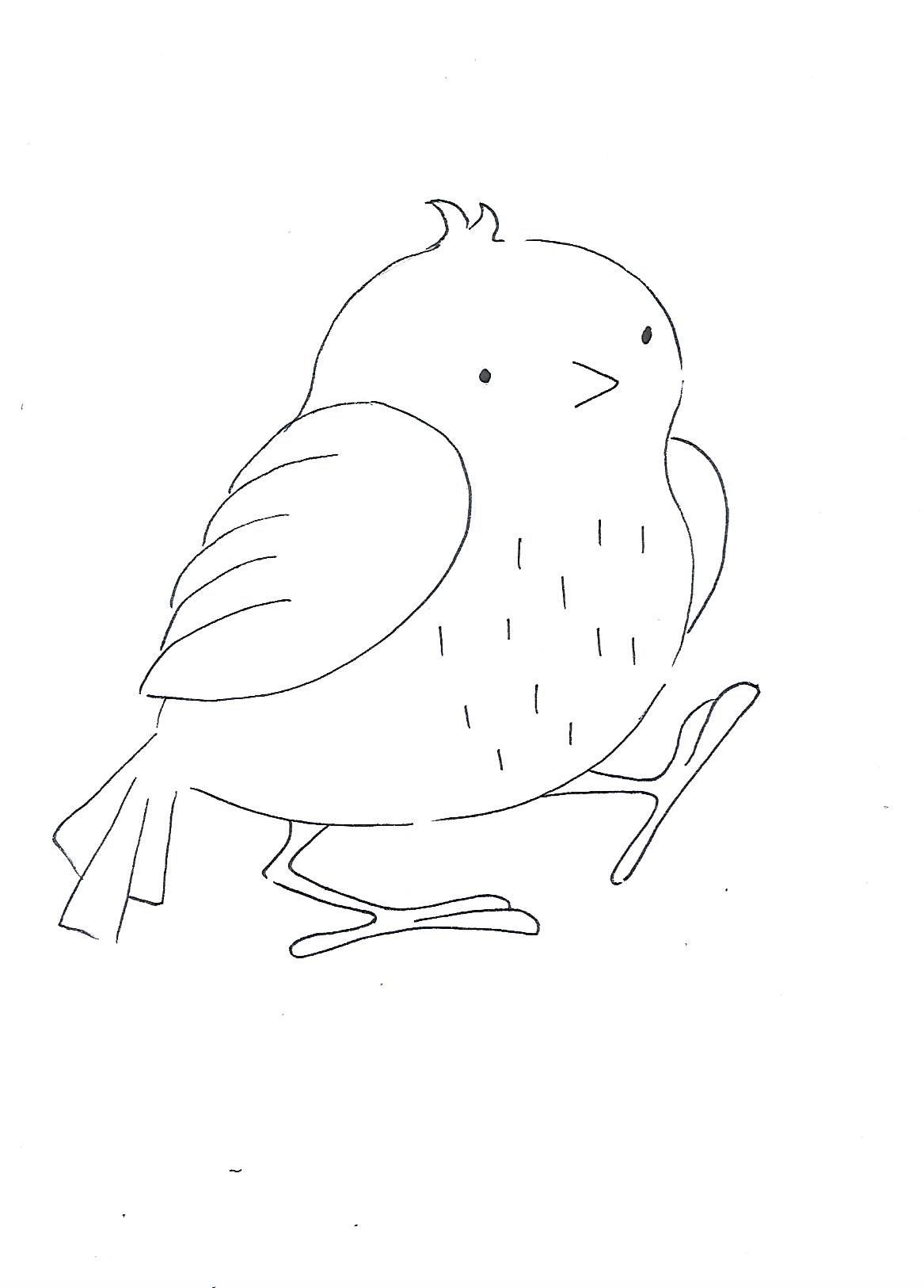 bird poses - image 3 - student project