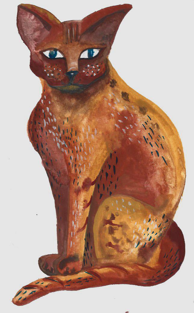 Portrait of my cat - image 1 - student project