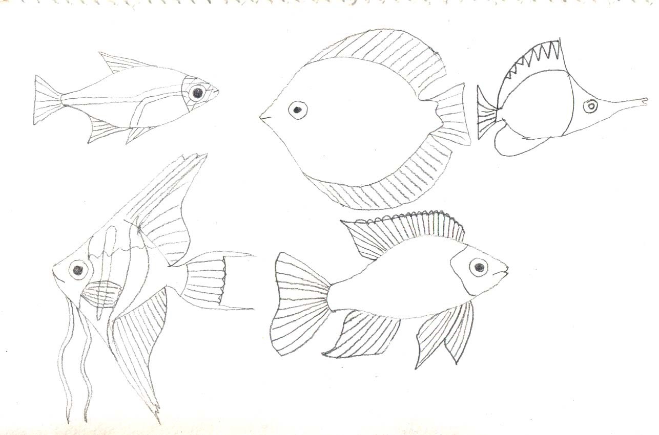 Decorative fishes - image 1 - student project